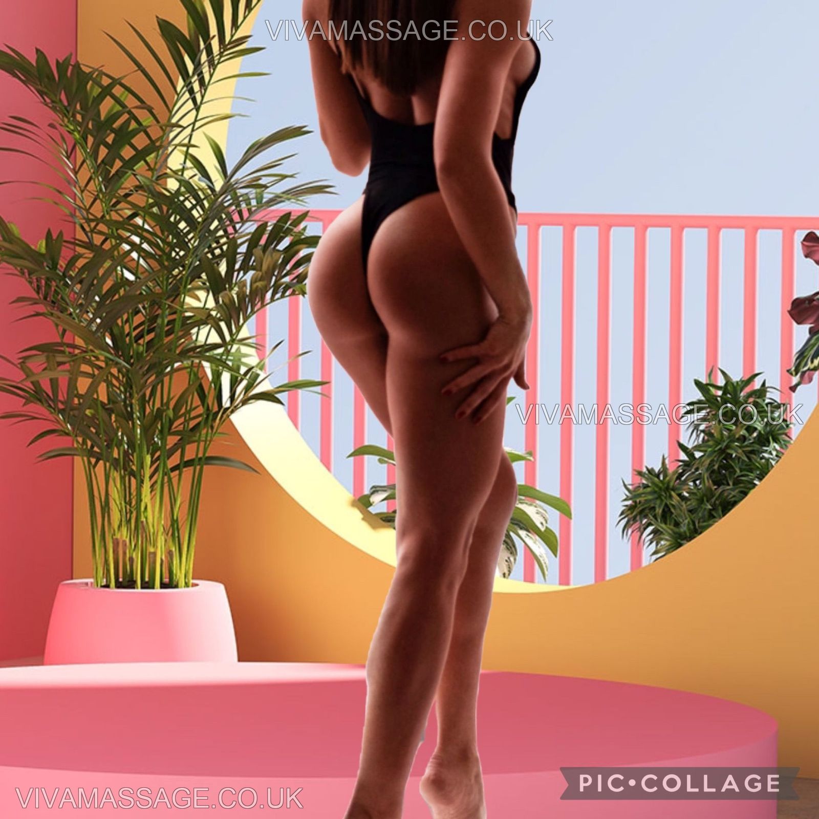 Photo 10 of AMY ENGLISH WHITE UK