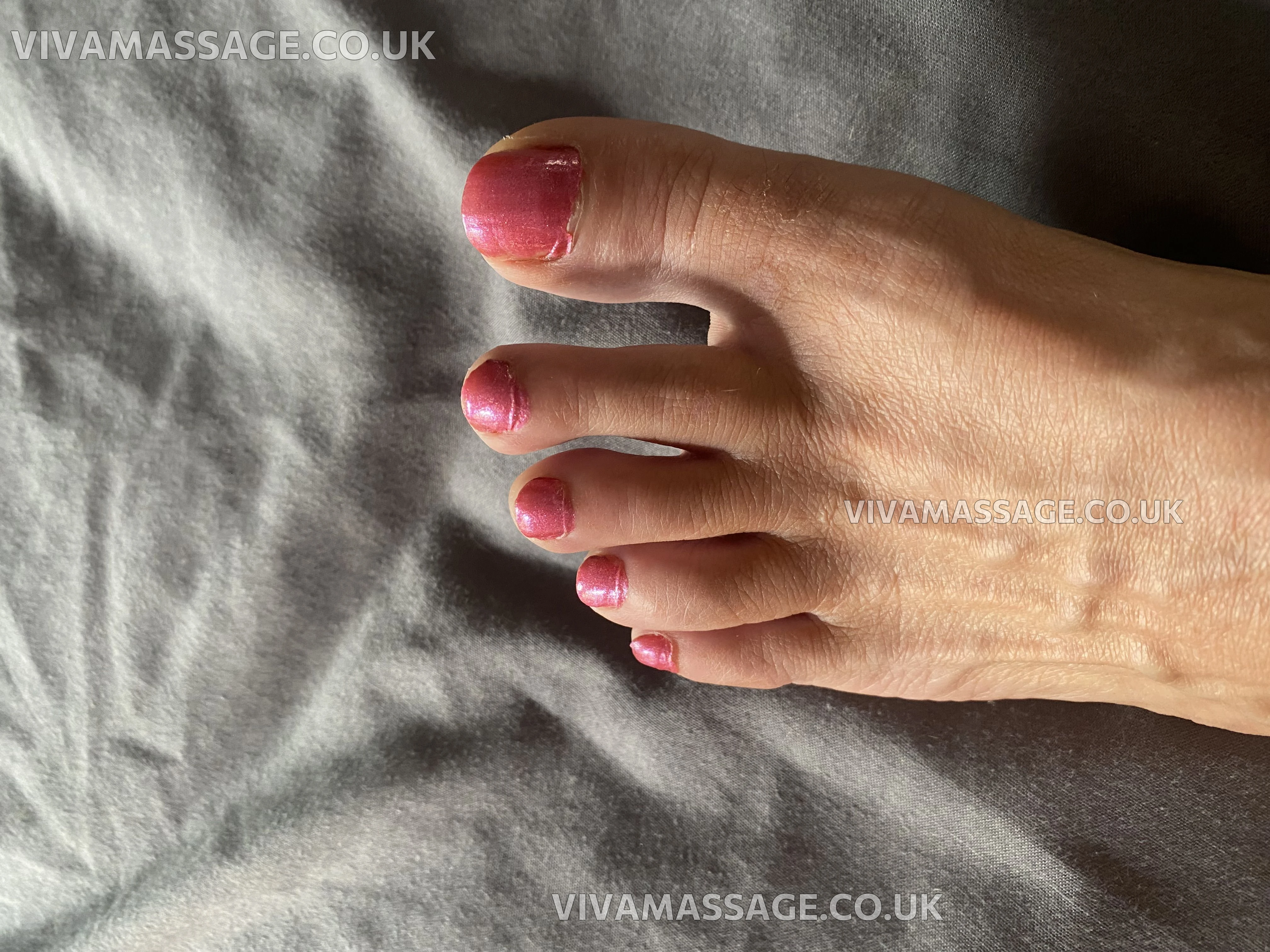 Photo 1 of Foxxxy Frankie