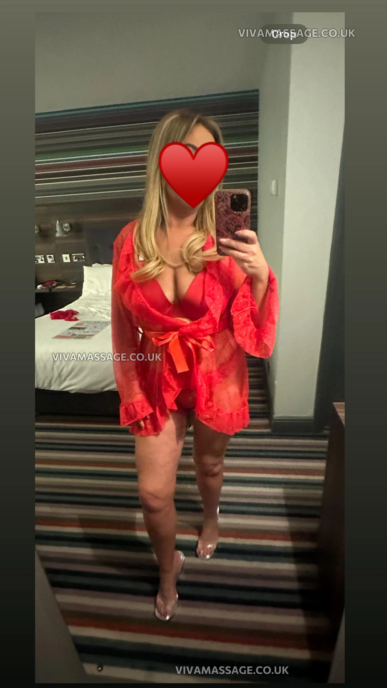 Photo 5 of EnglishArabellax