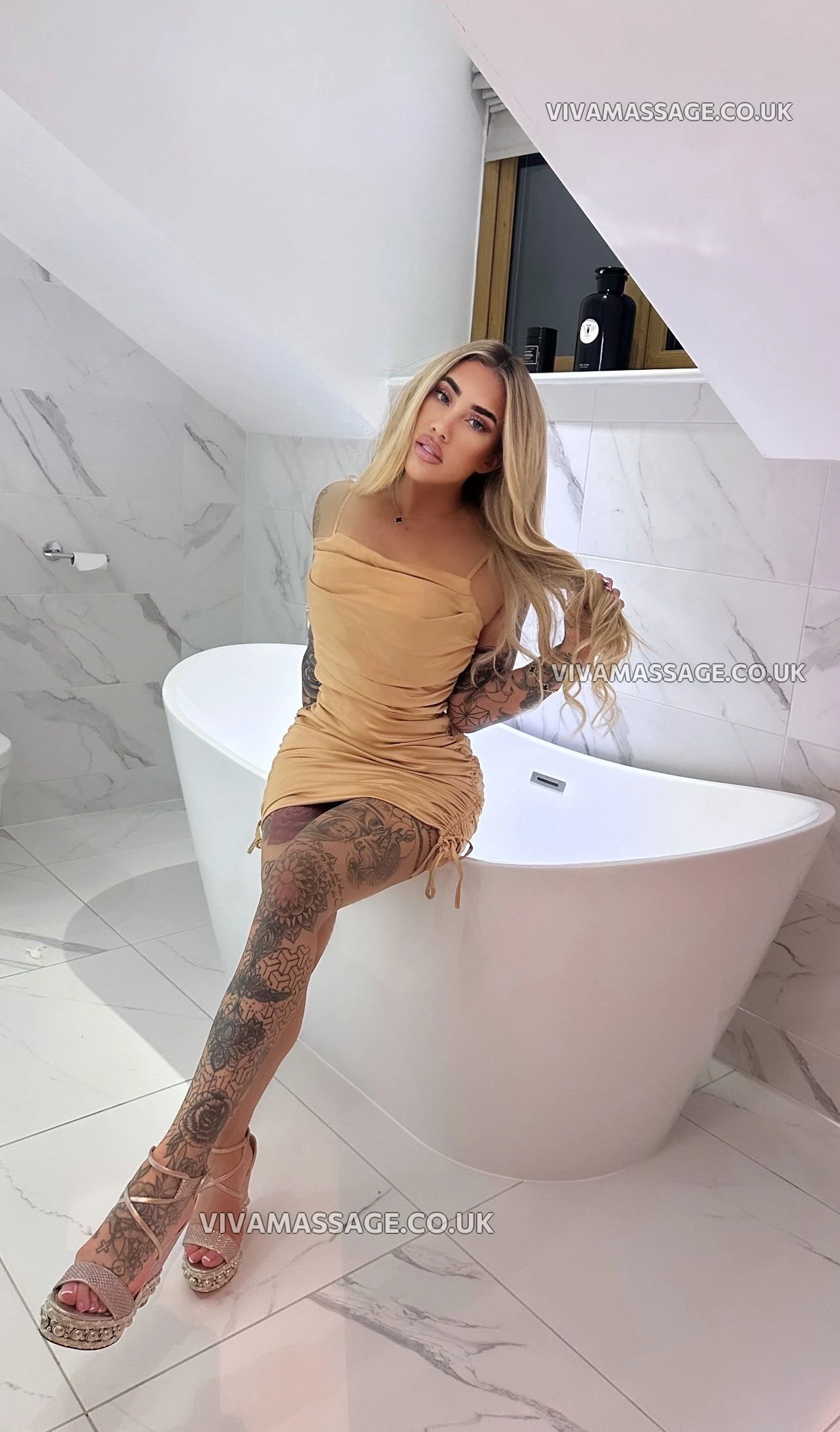 Photo 1 of English-dollyx