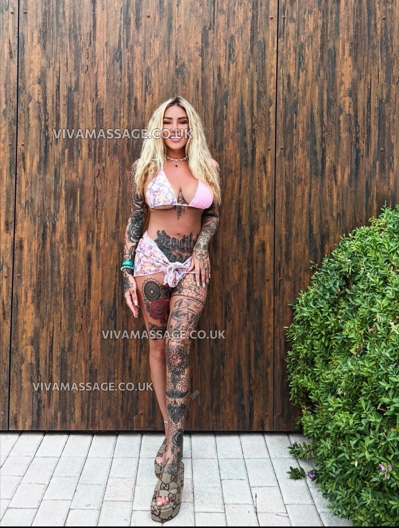 Photo 10 of English-dollyx