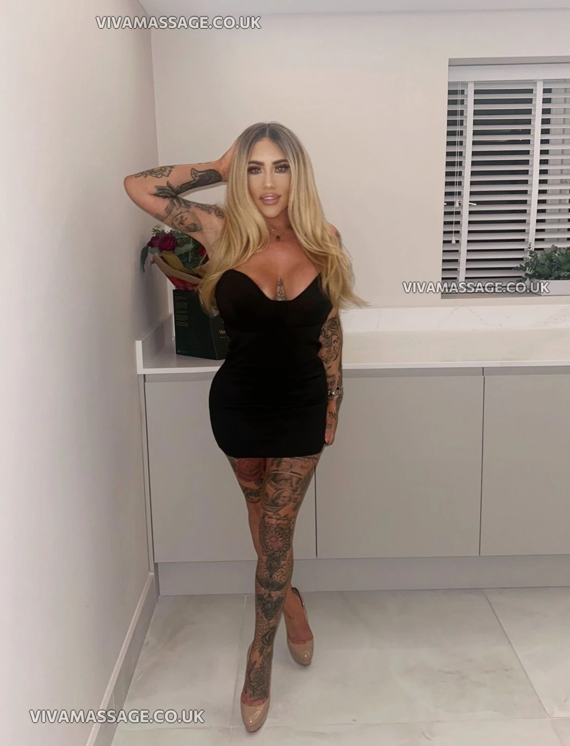 Photo 4 of English-dollyx