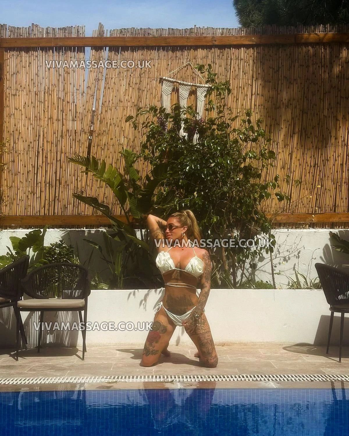 Photo 11 of English-dollyx