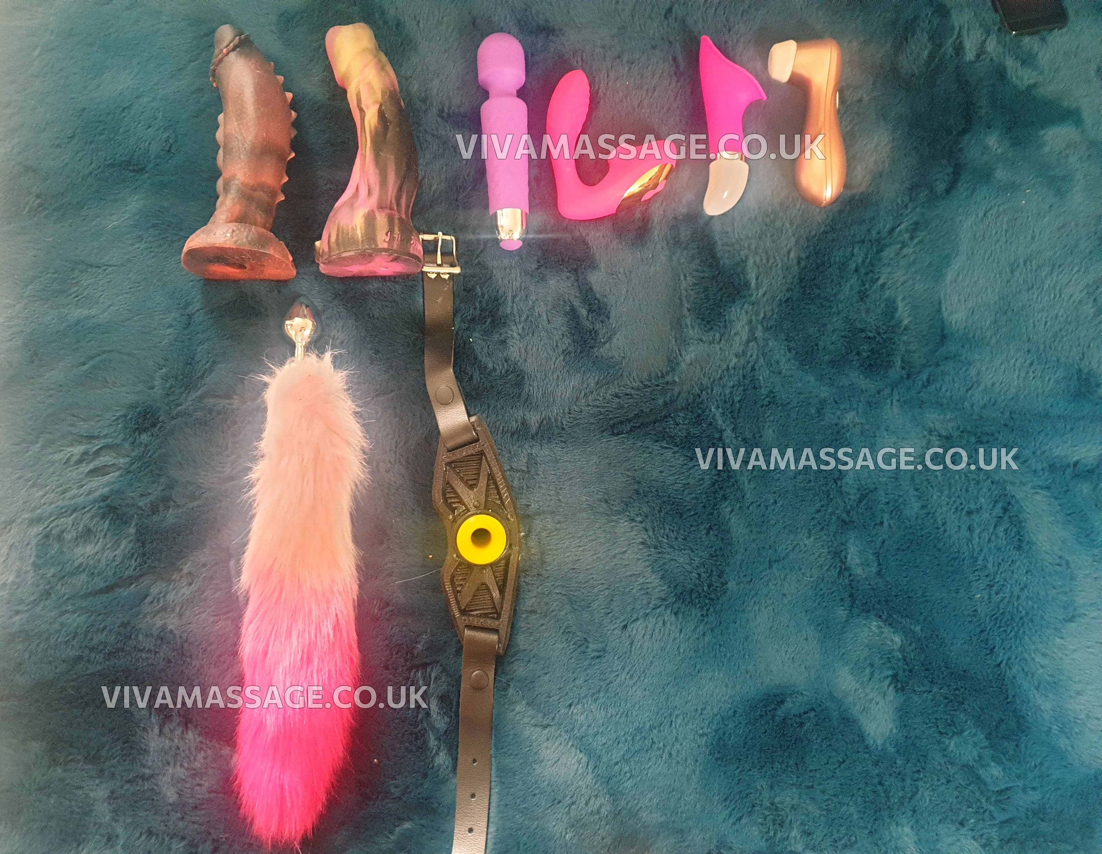 Photo 44 of British TaylorReign