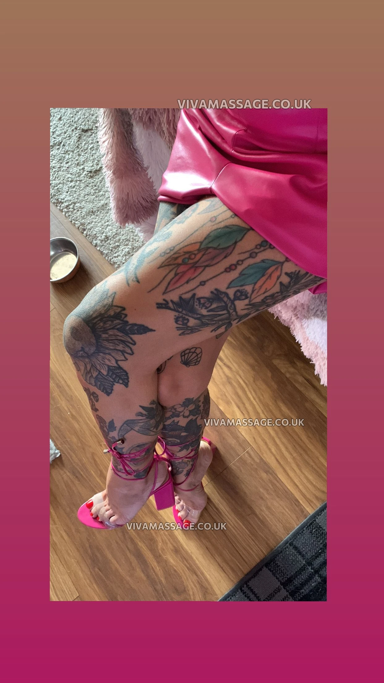 Photo 4 of Scottish_Maddison