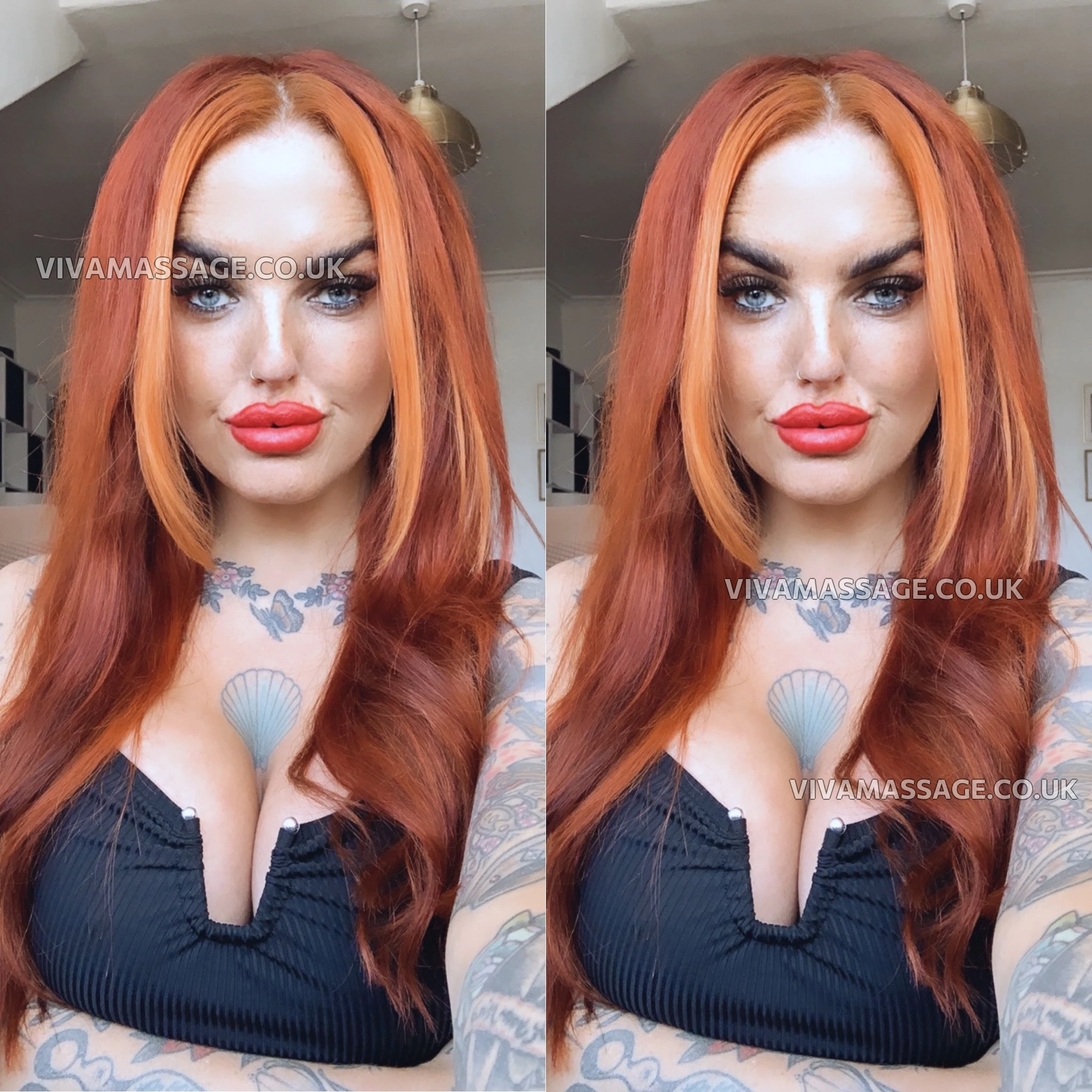 Photo 7 of Scottish_Maddison