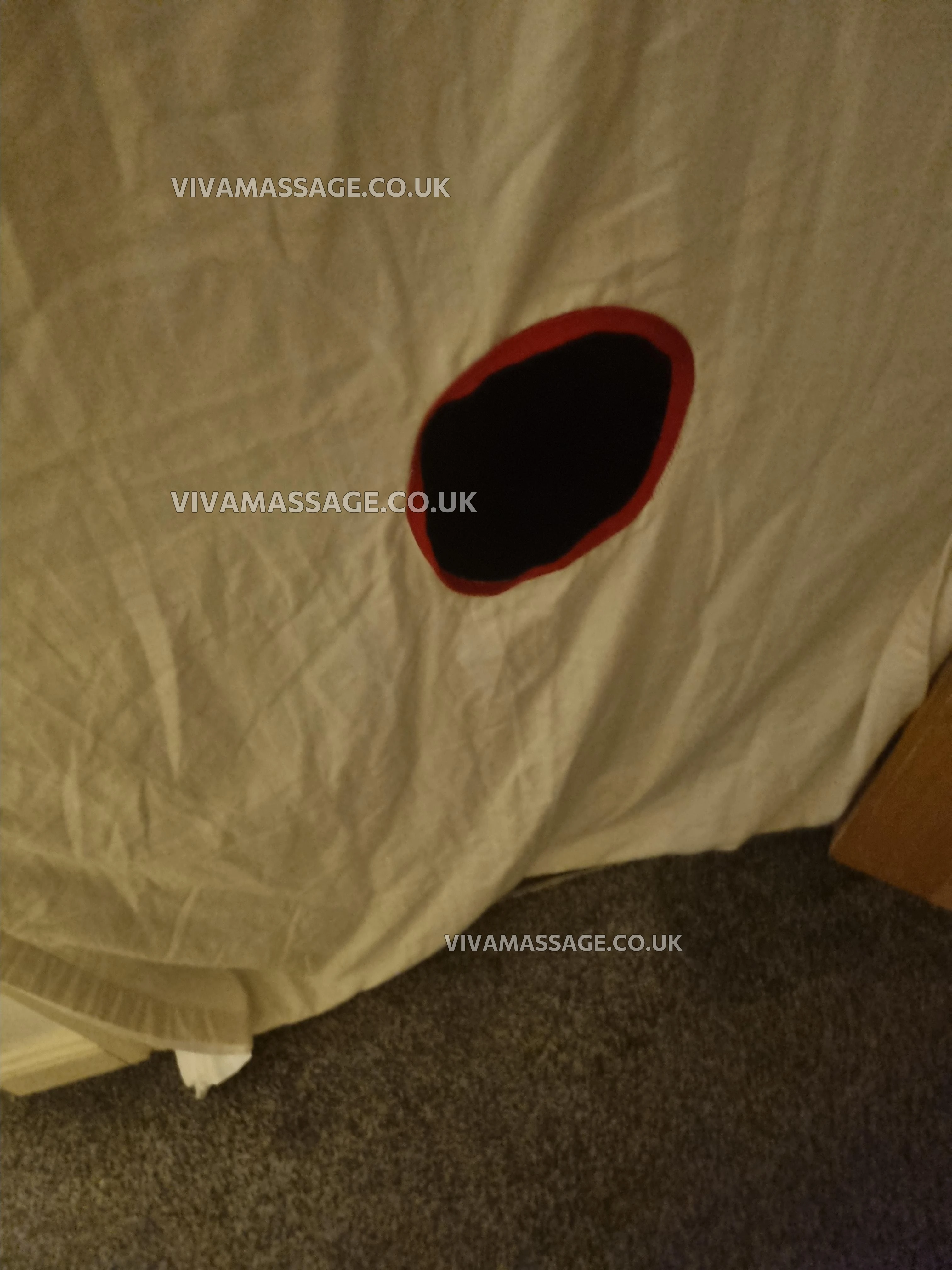 Photo 4 of miss lily mai