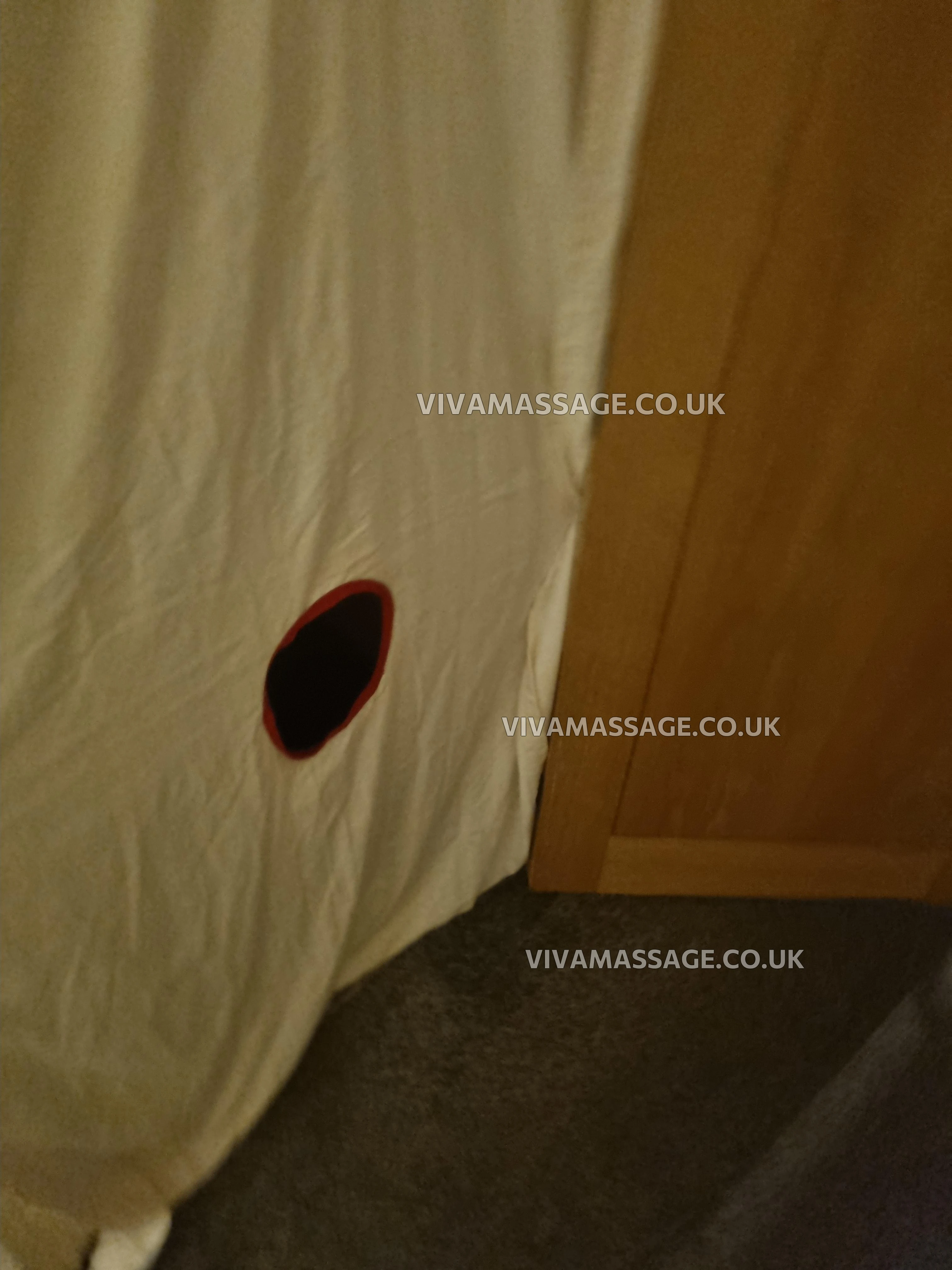 Photo 5 of miss lily mai