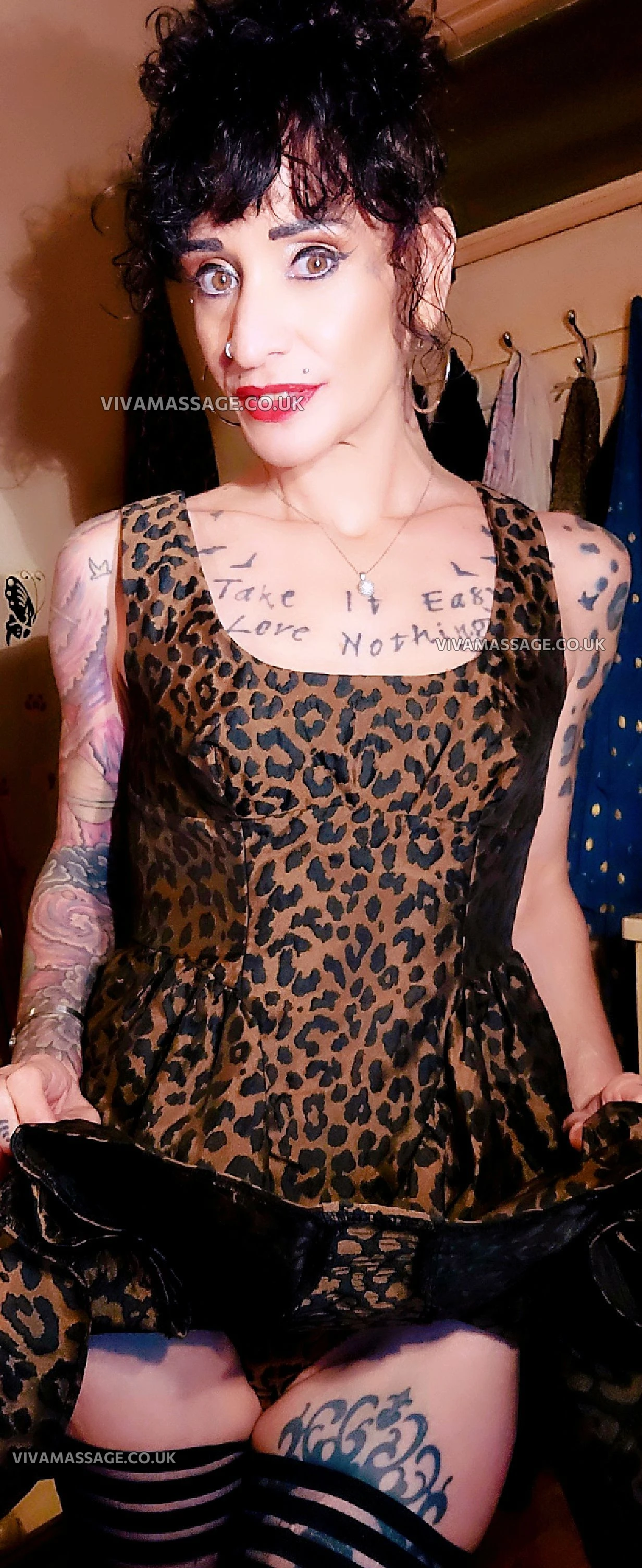 Photo 4 of Cosmic Hell-Cat