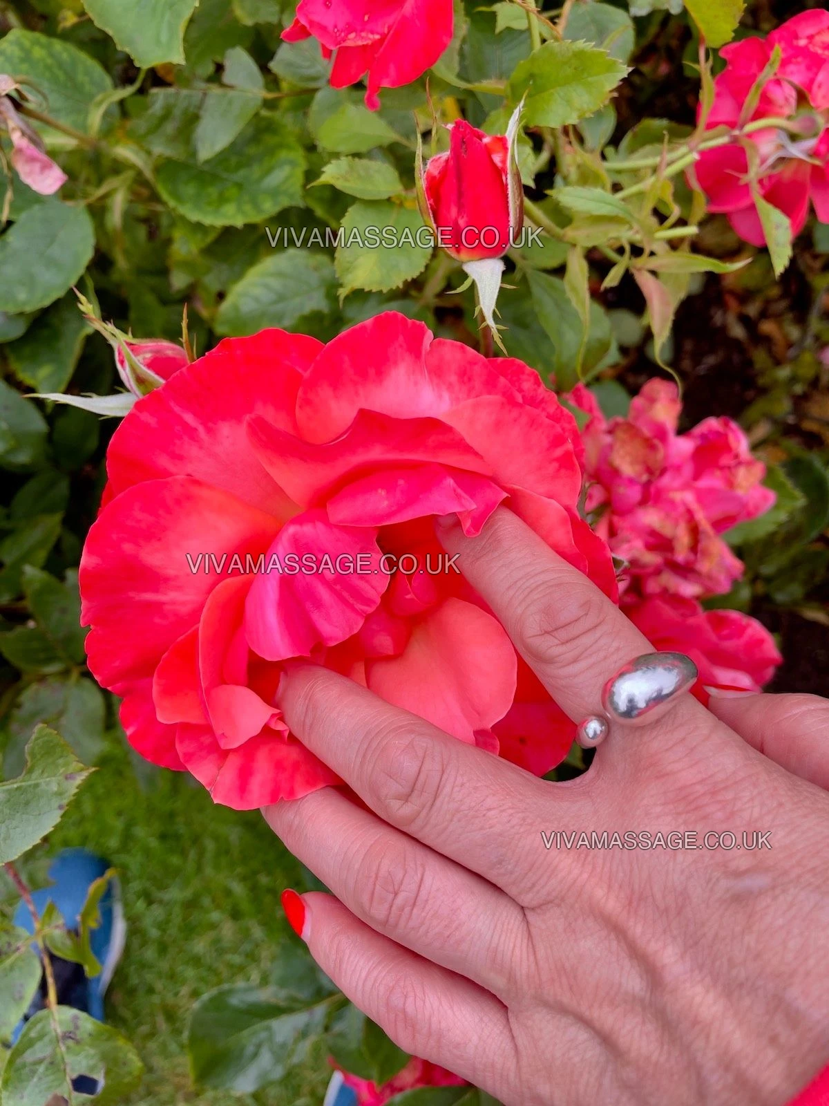 Photo 24 of Sisi_Massage_Me