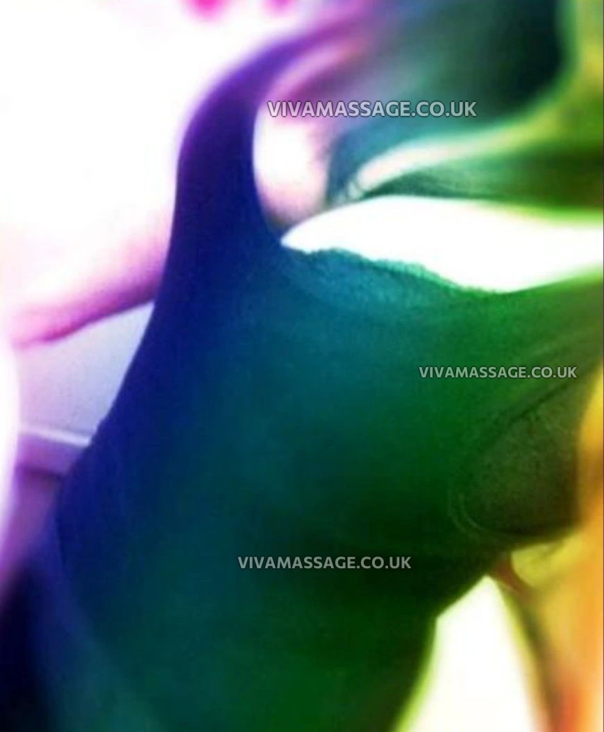 Photo 8 of Xxx miss curvy xxx 