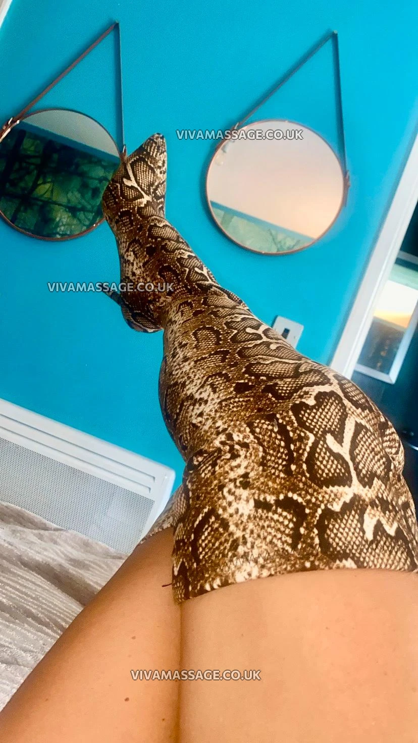 Photo 9 of British Leah X 