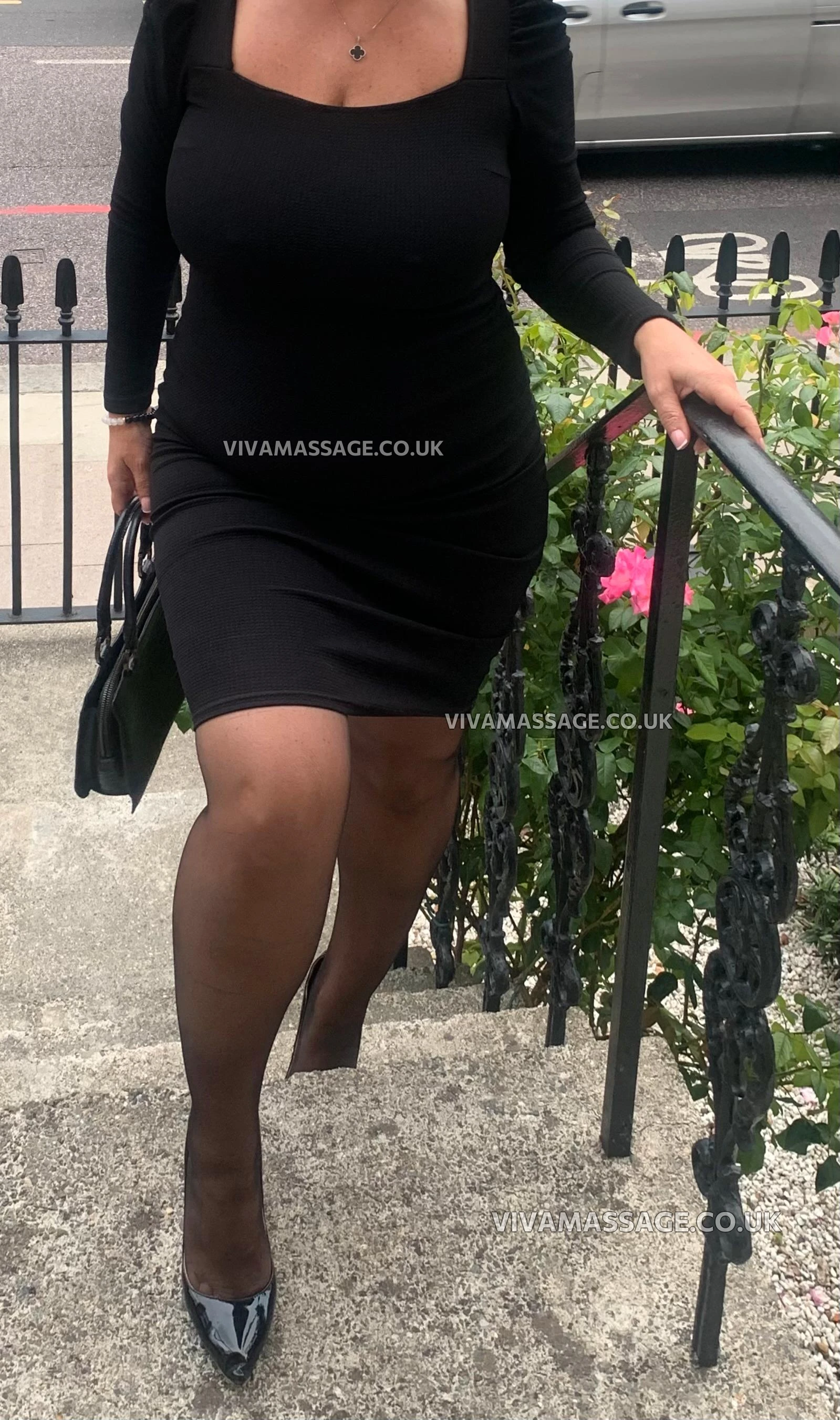 Photo 33 of PERFECT COMPANION