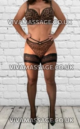 Photo 20 of PERFECT COMPANION