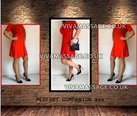 Photo 23 of PERFECT COMPANION