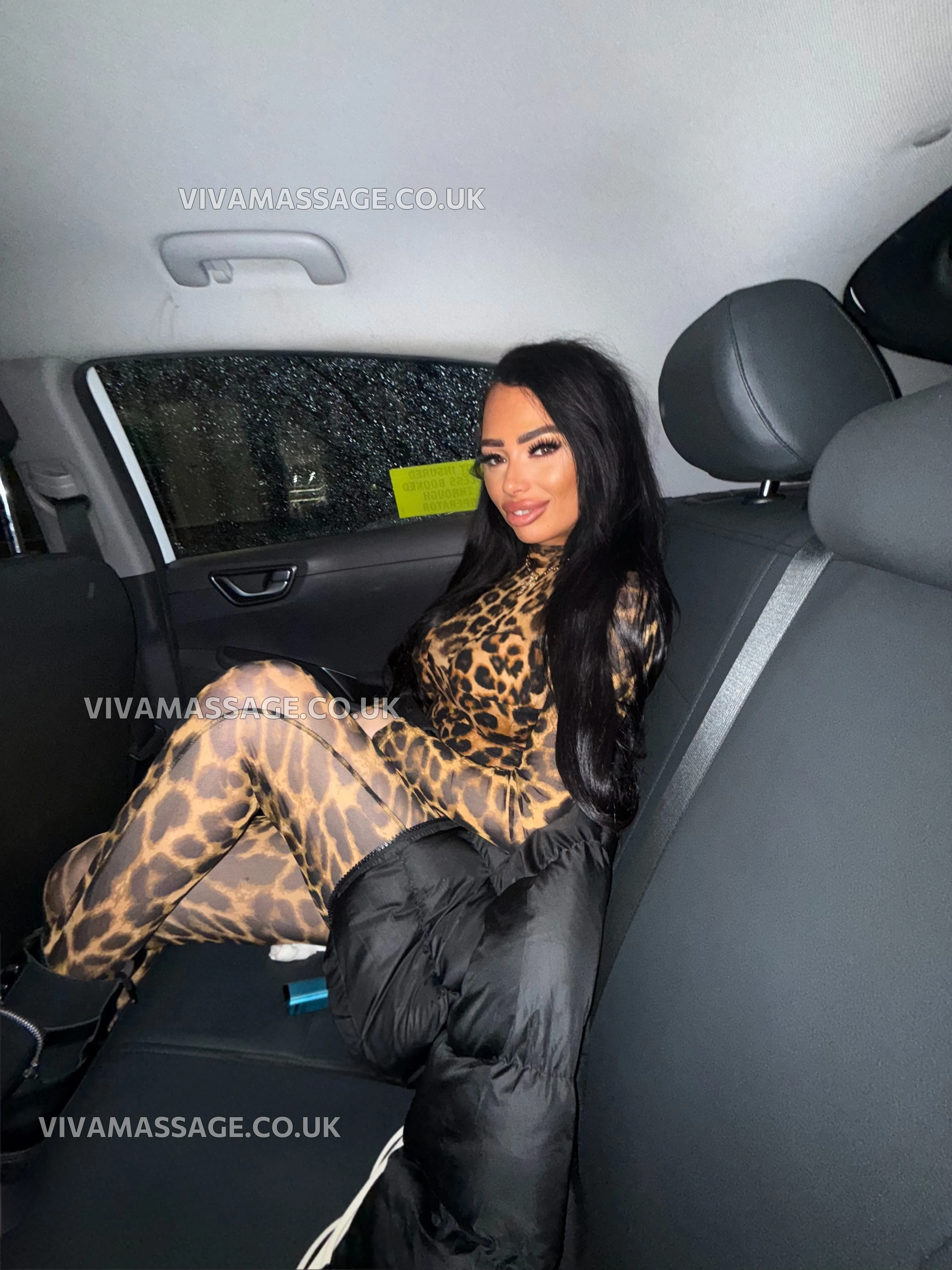 Photo 1 of Moaning_MIA_MCR