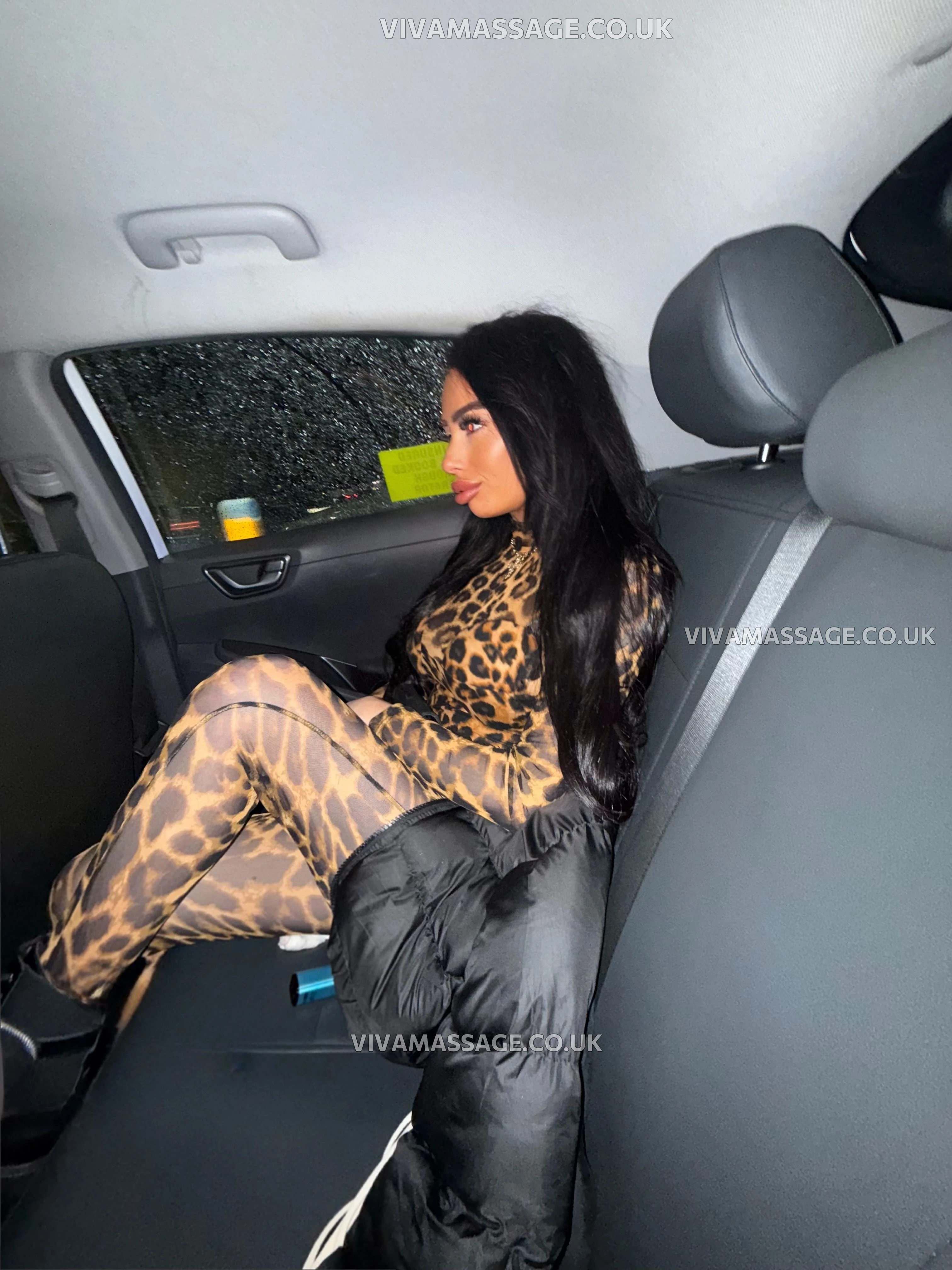 Photo 1 of Moaning_MIA_MCR