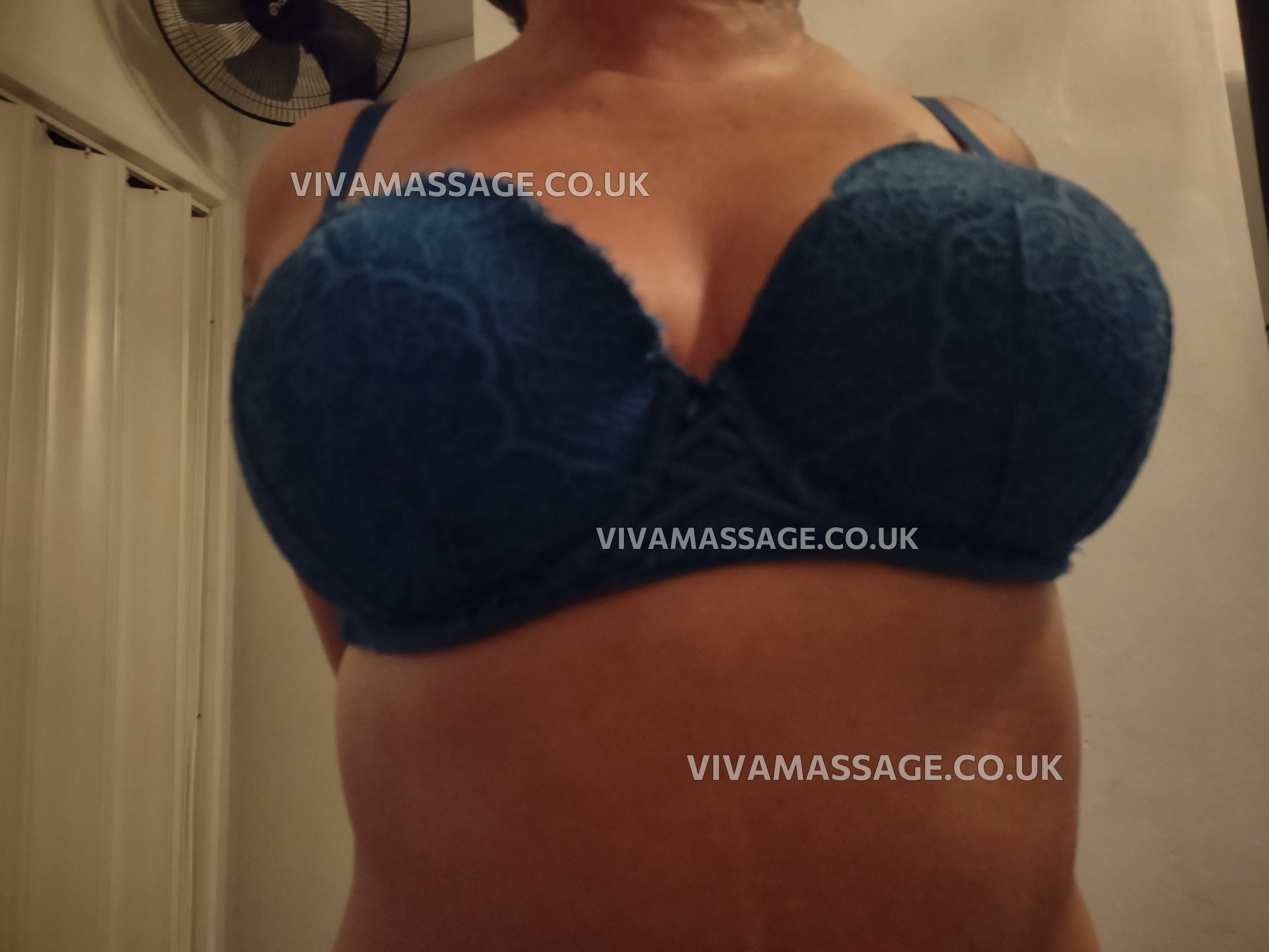 Photo 1 of BRITISH HEIDI