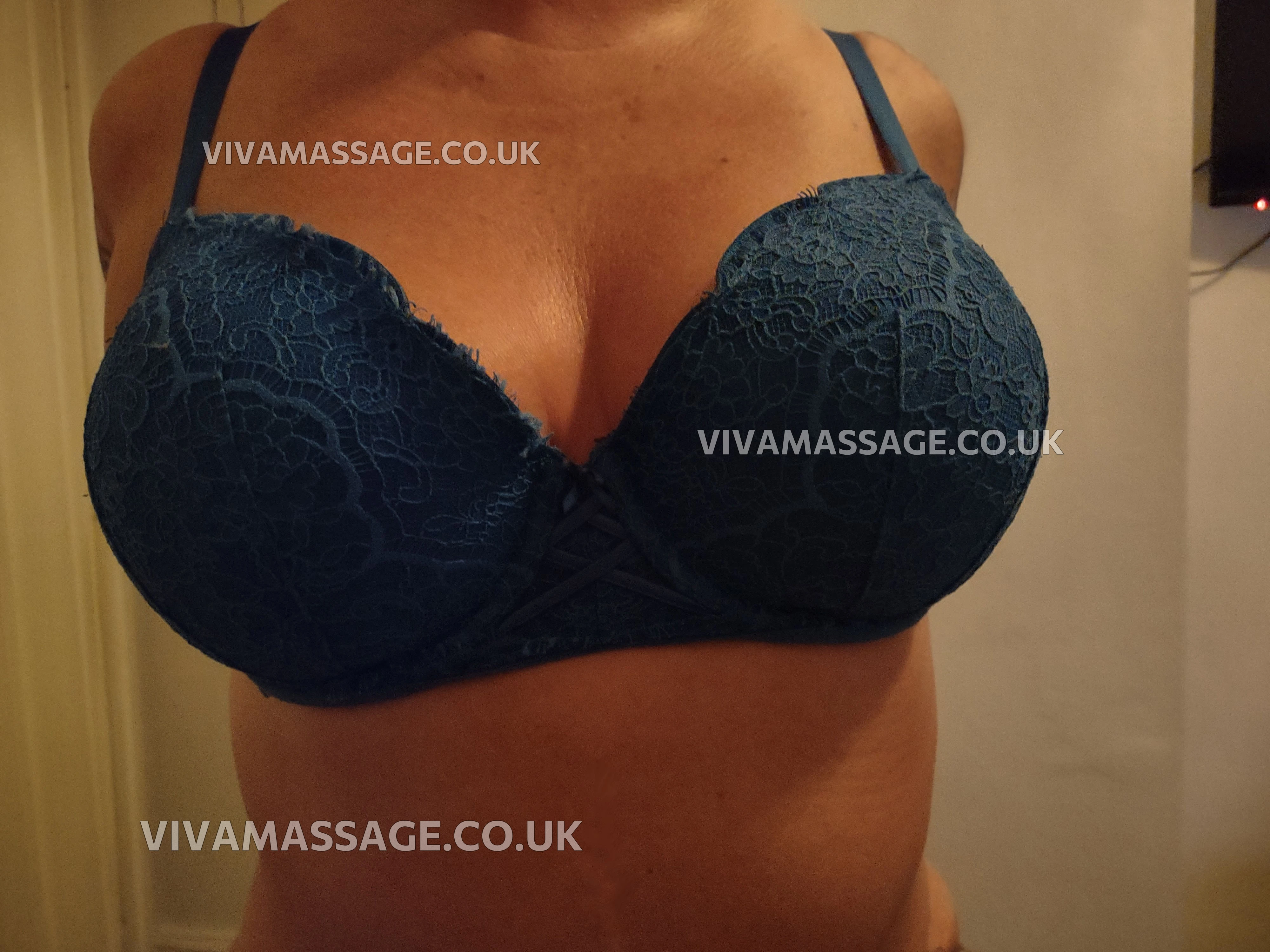 Photo 2 of BRITISH HEIDI