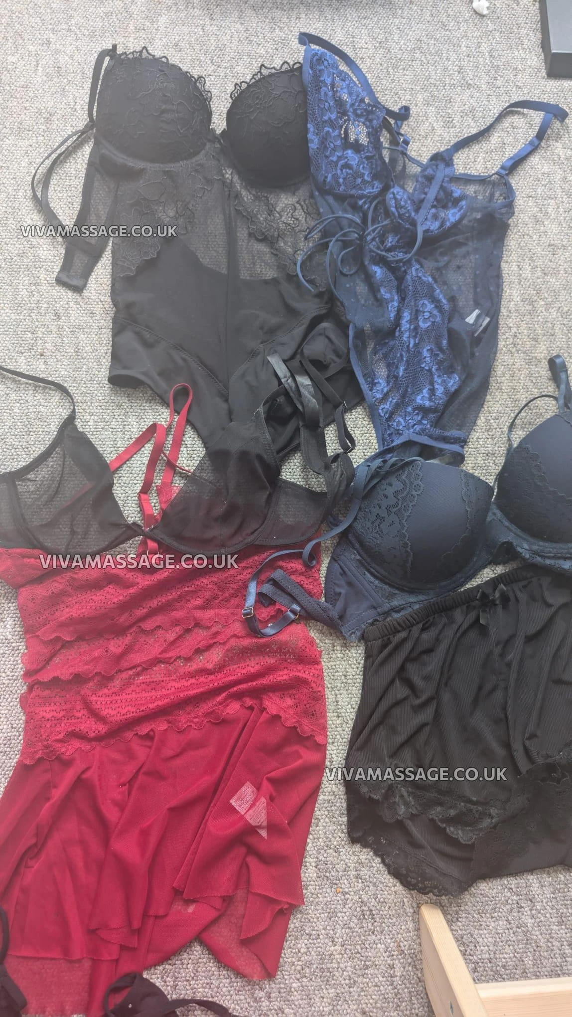 Photo 5 of Raven Web