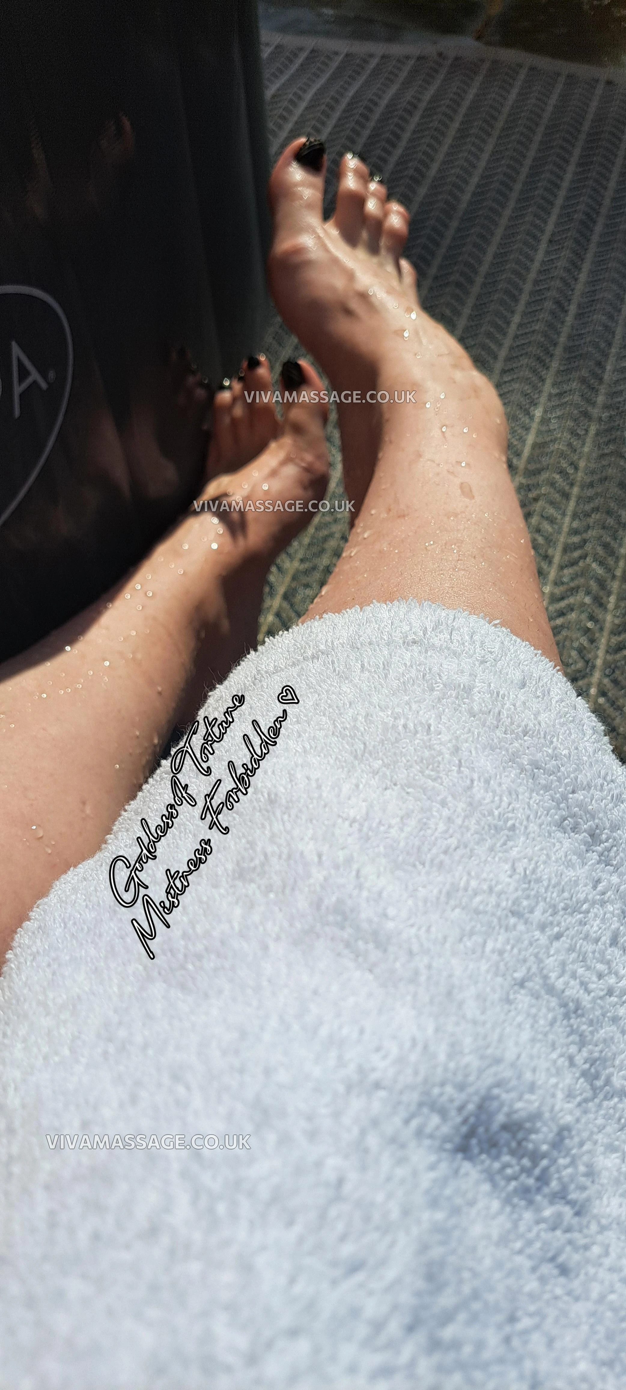 Photo 18 of GT Forbidden