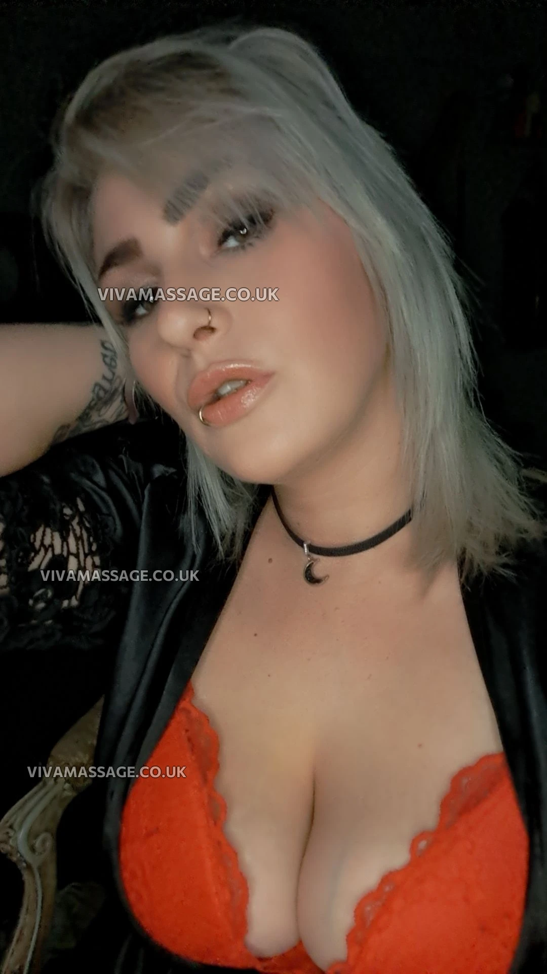 Photo 36 of GT Forbidden