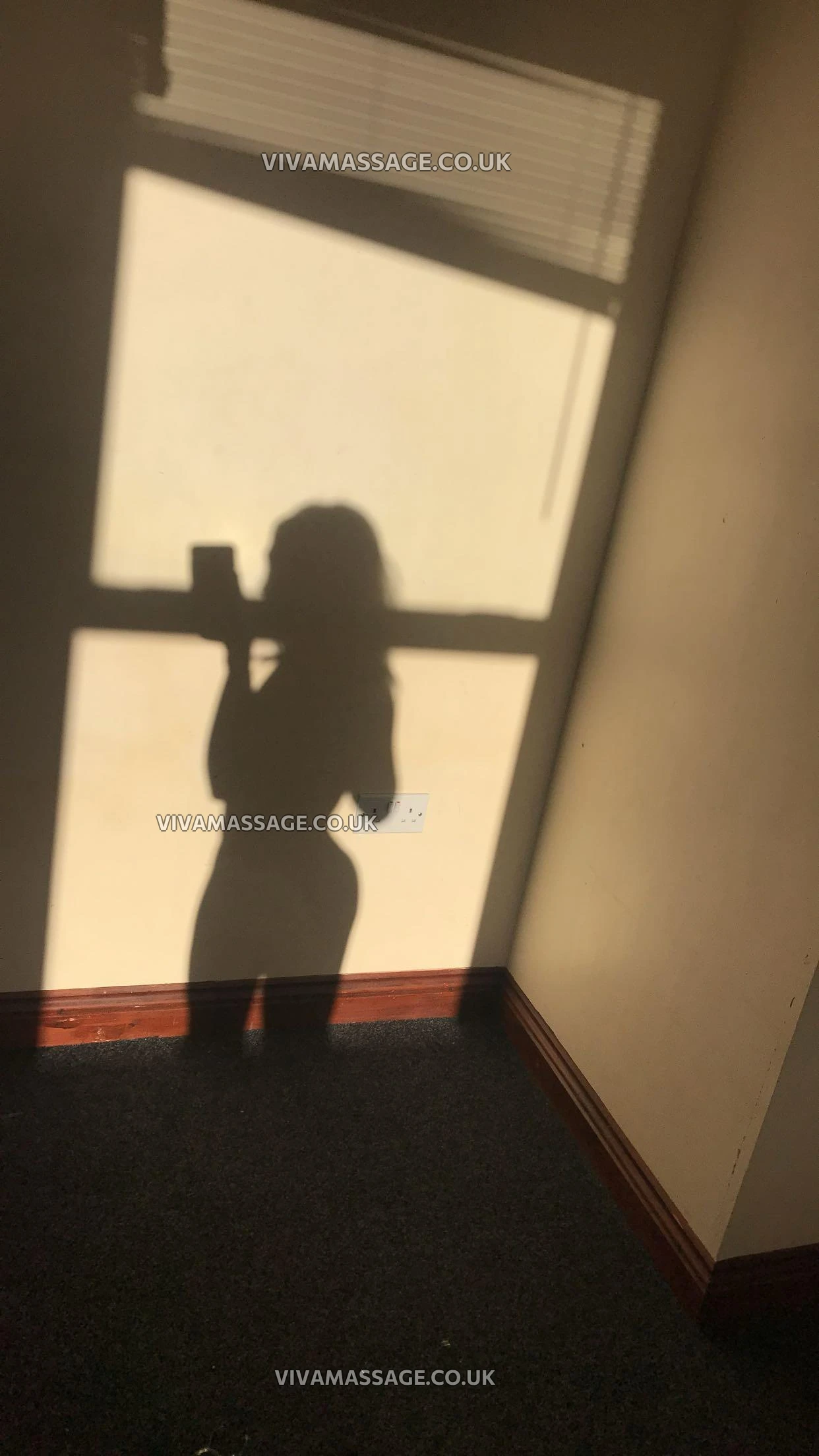 Photo 12 of BritishDollLaylaLoo