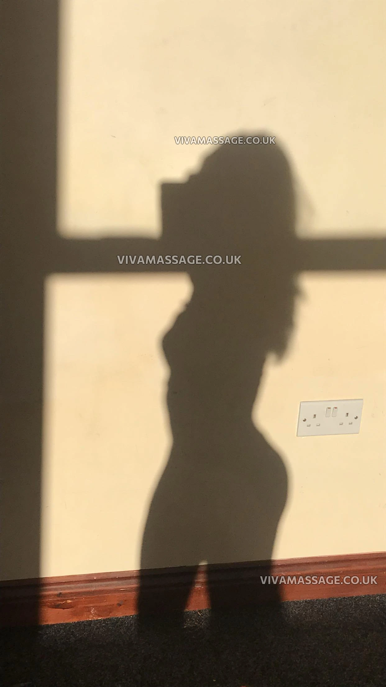 Photo 10 of BritishDollLaylaLoo