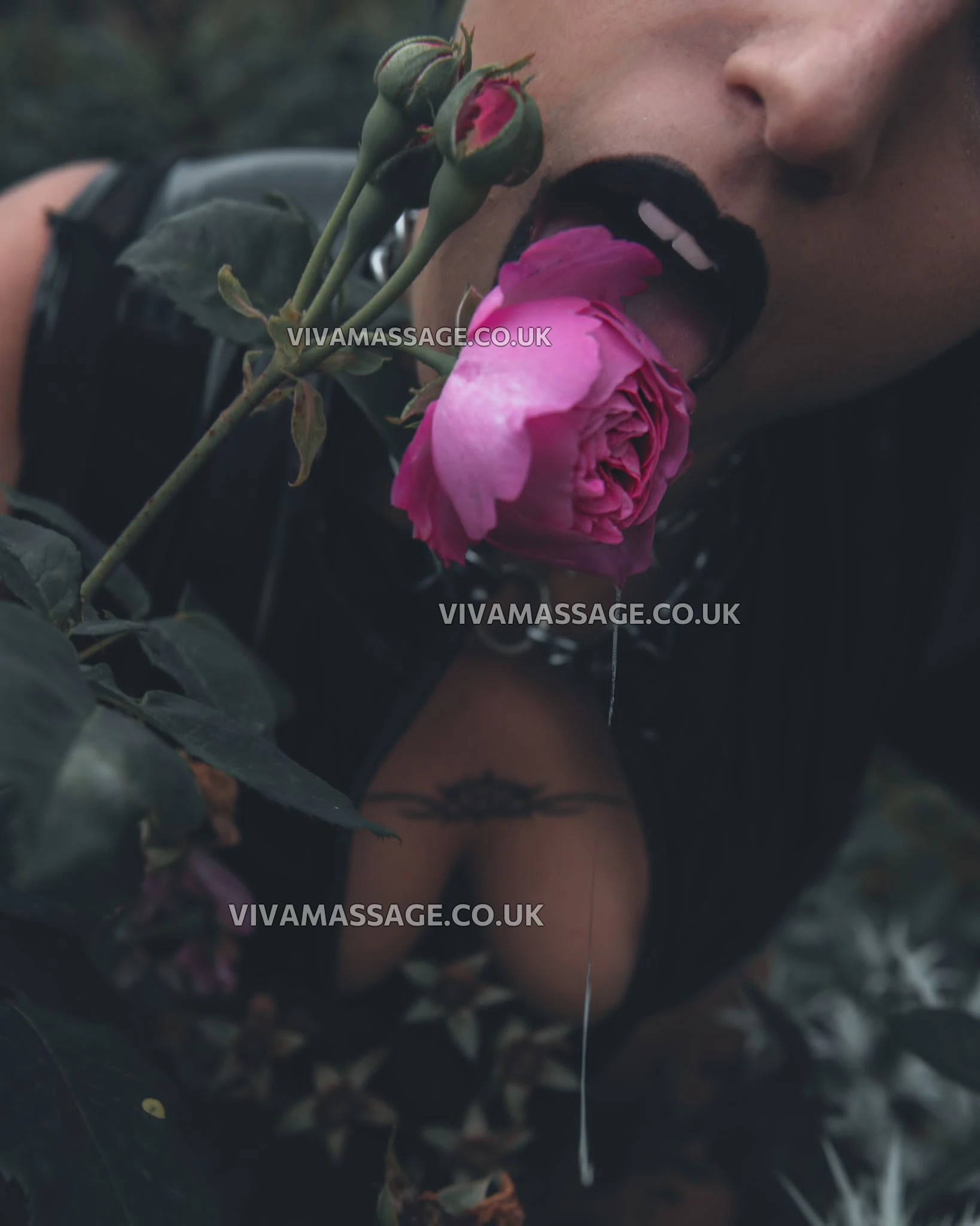 Photo 3 of LunaLaVey