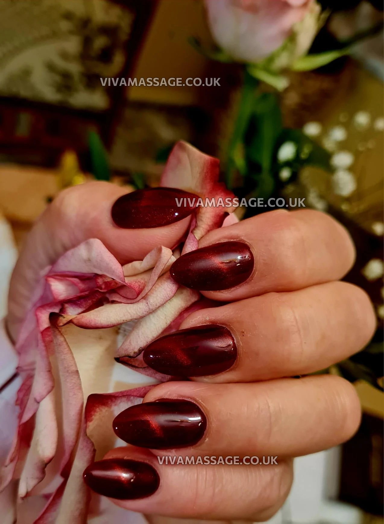 Photo 1 of Katarina Sweet Love