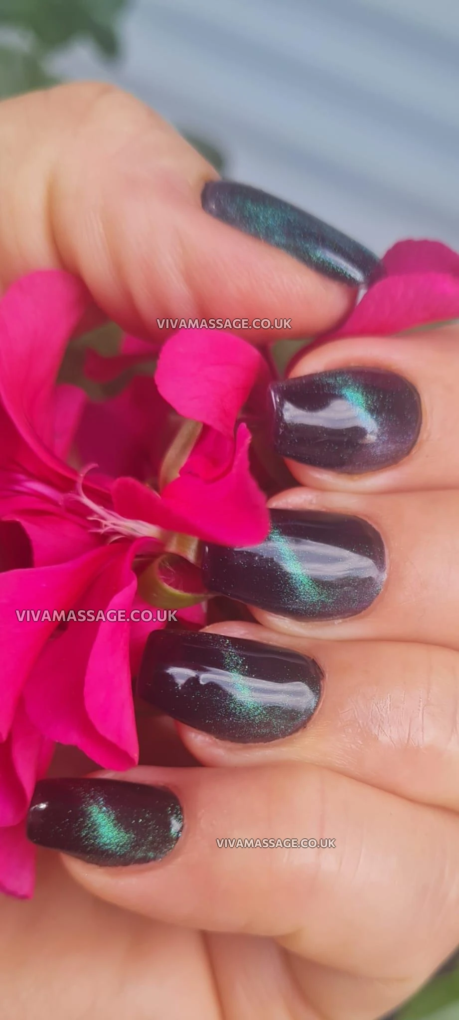 Photo 5 of Katarina Sweet Love