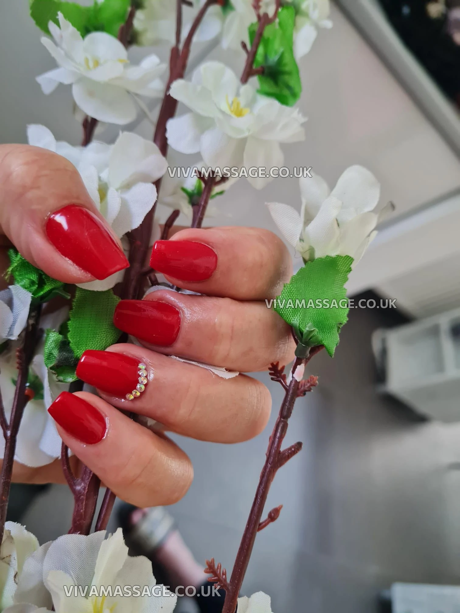 Photo 7 of Katarina Sweet Love