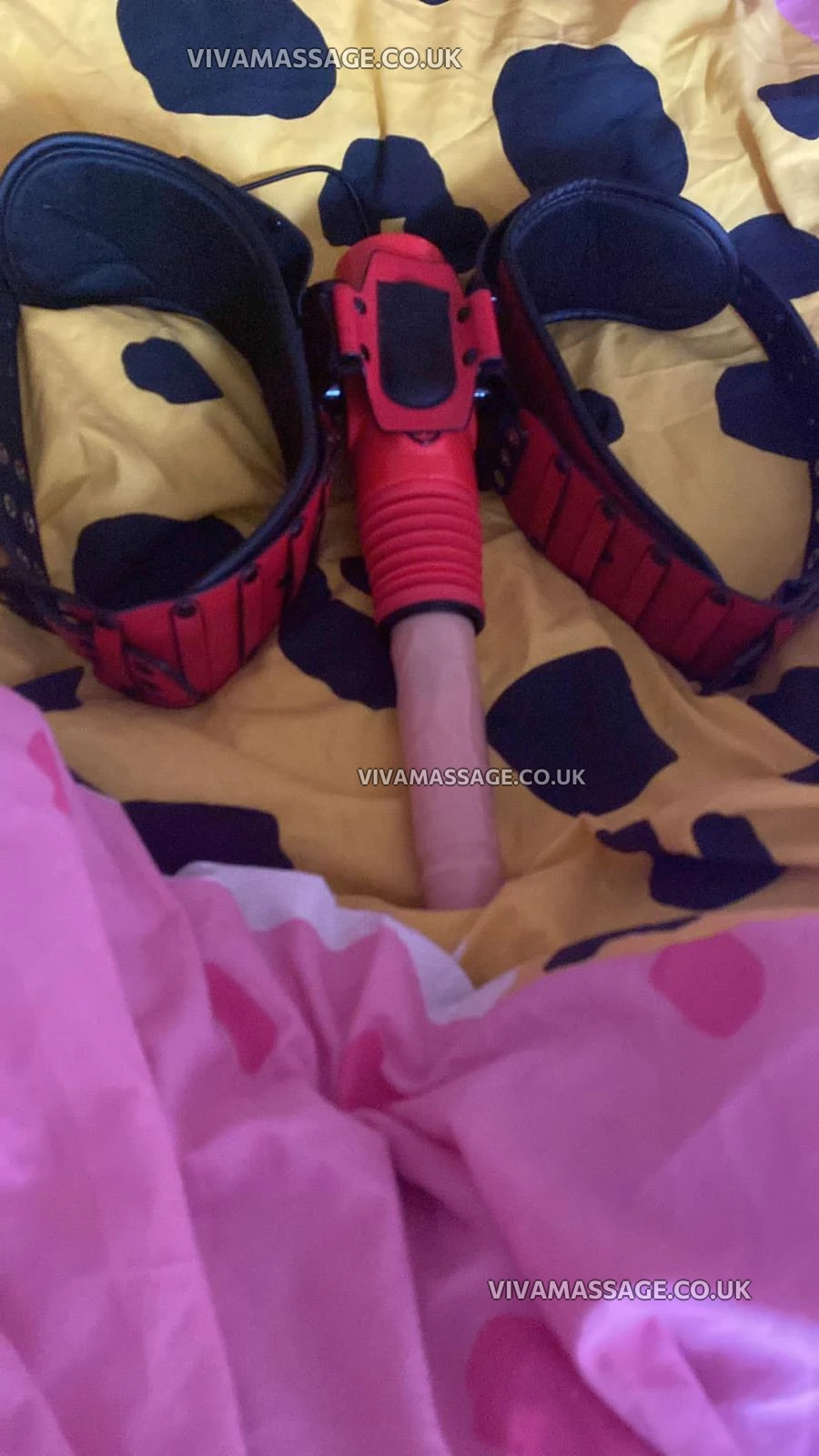 Photo 2 of AGATHA SexyLATINA