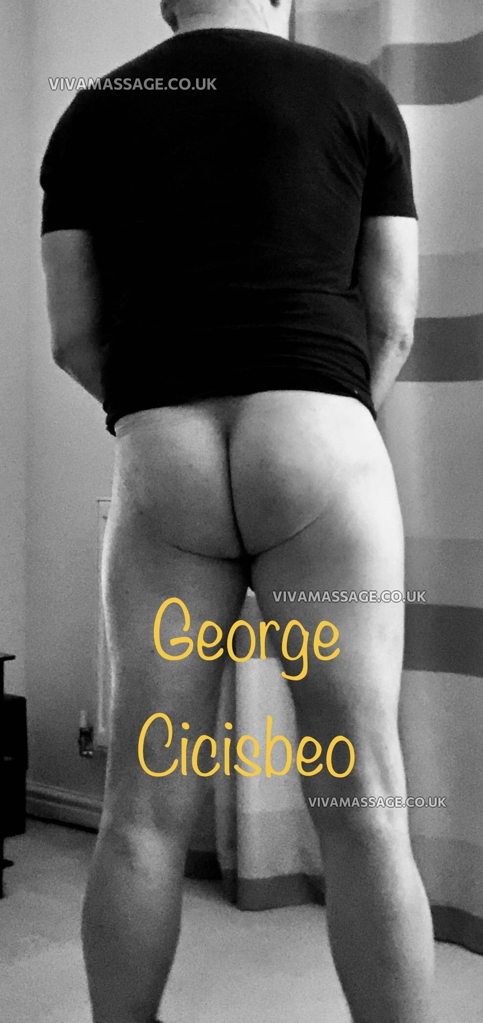 Photo 3 of George Cicisbeo