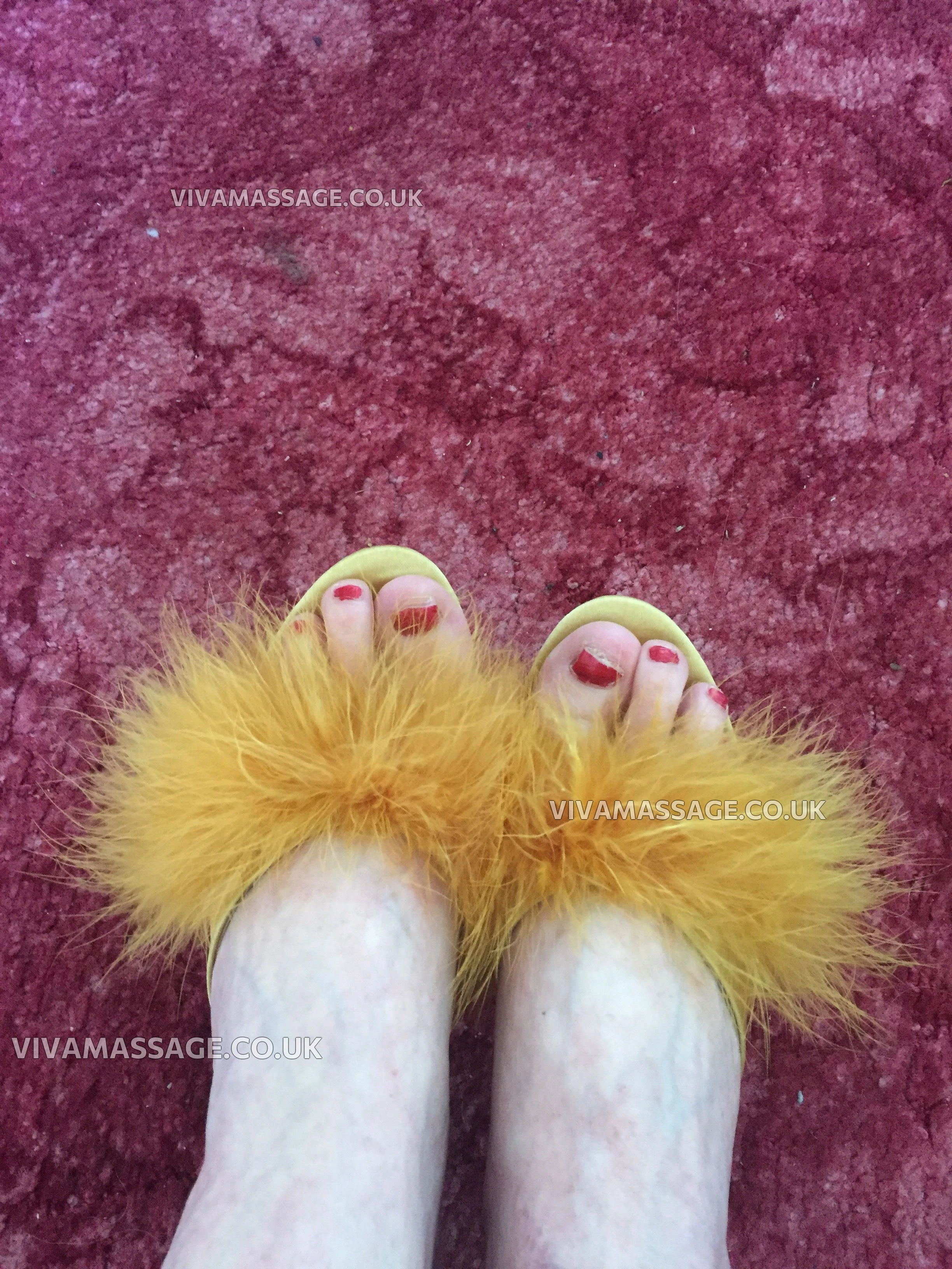 Photo 70 of ms silk & satin