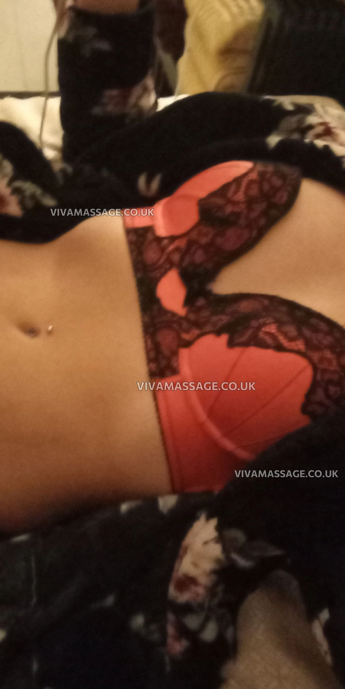 Photo 9 of Morgan-may