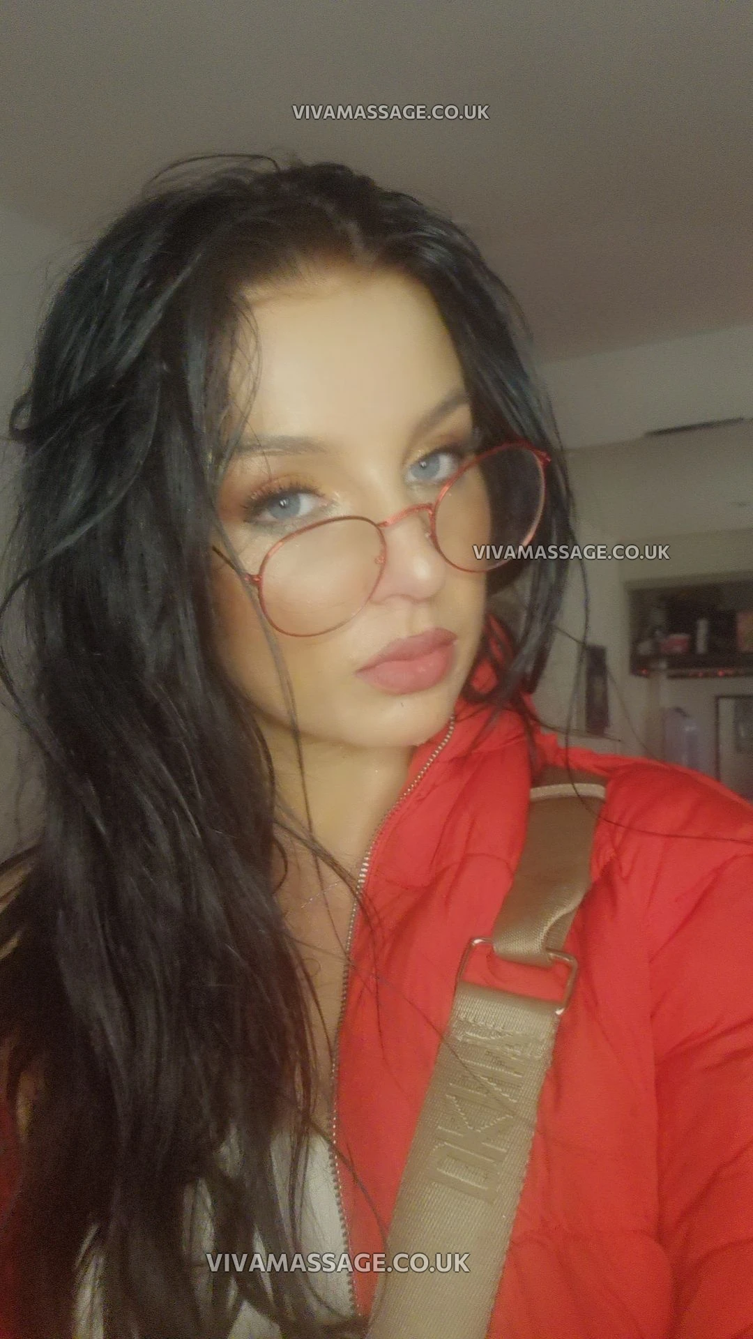 Photo 4 of BRITISH BELLA (Khlo)