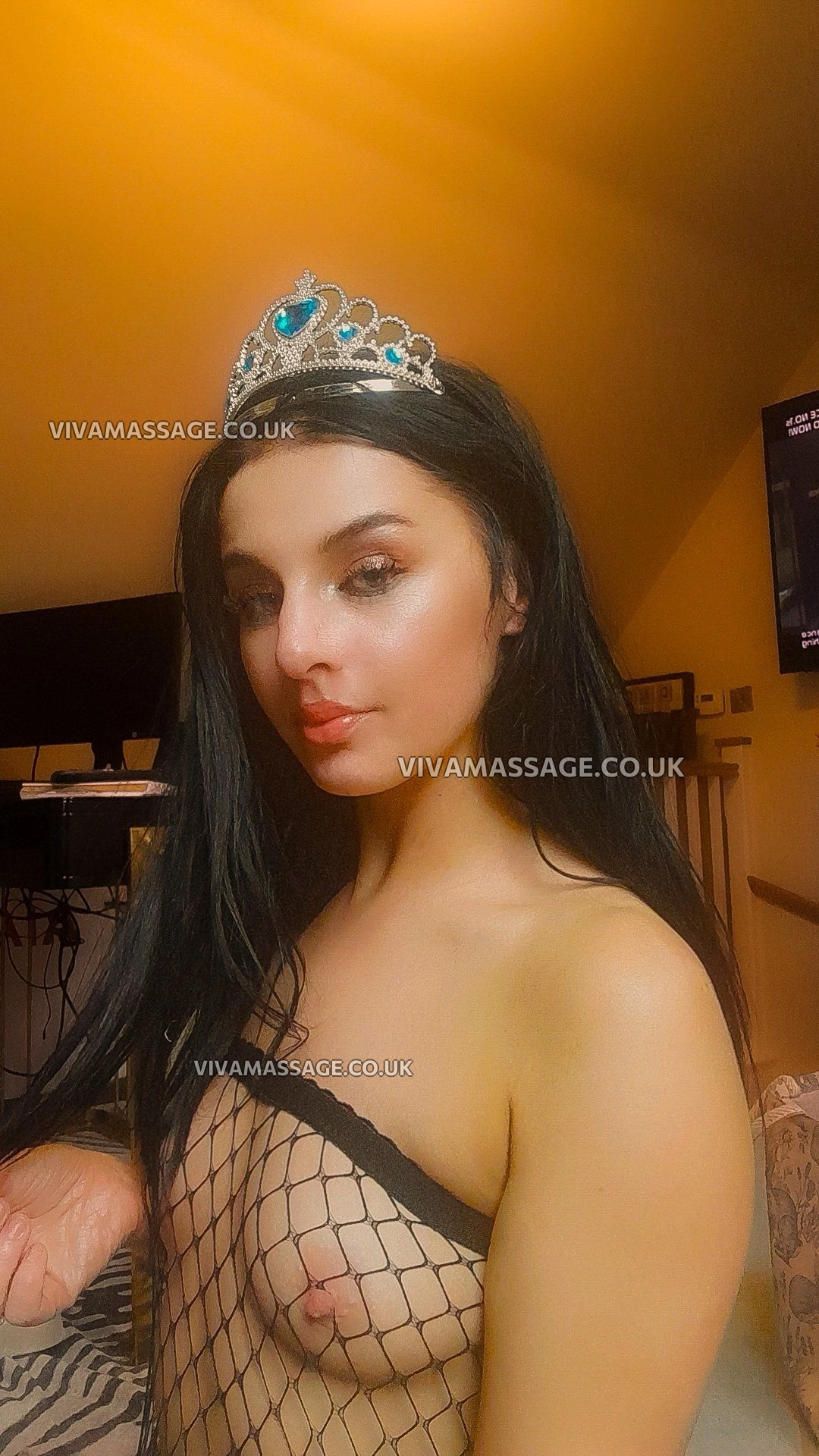 Photo 22 of BRITISH BELLA (Khlo)