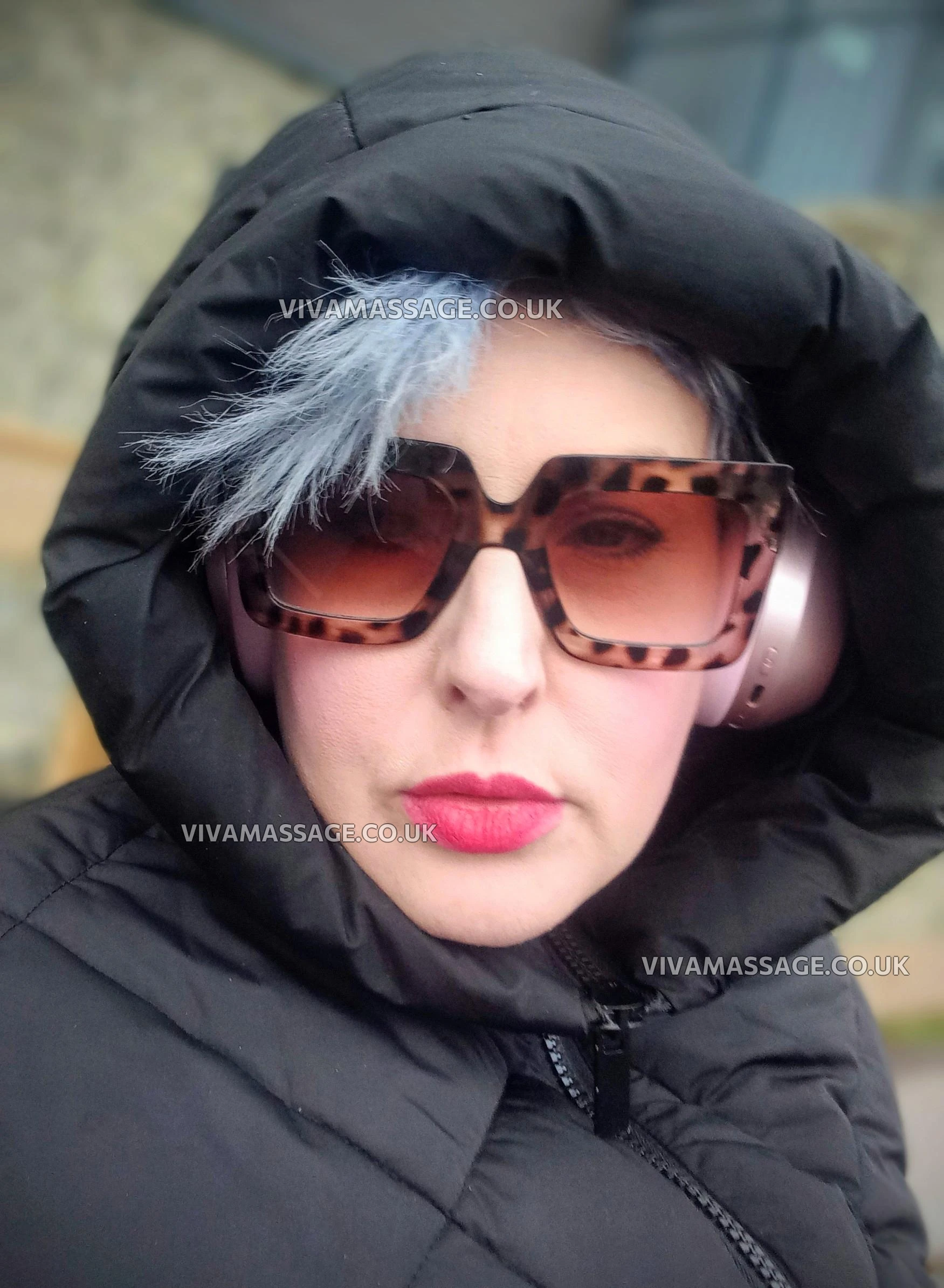 Photo 3 of Bisious-Papillon7