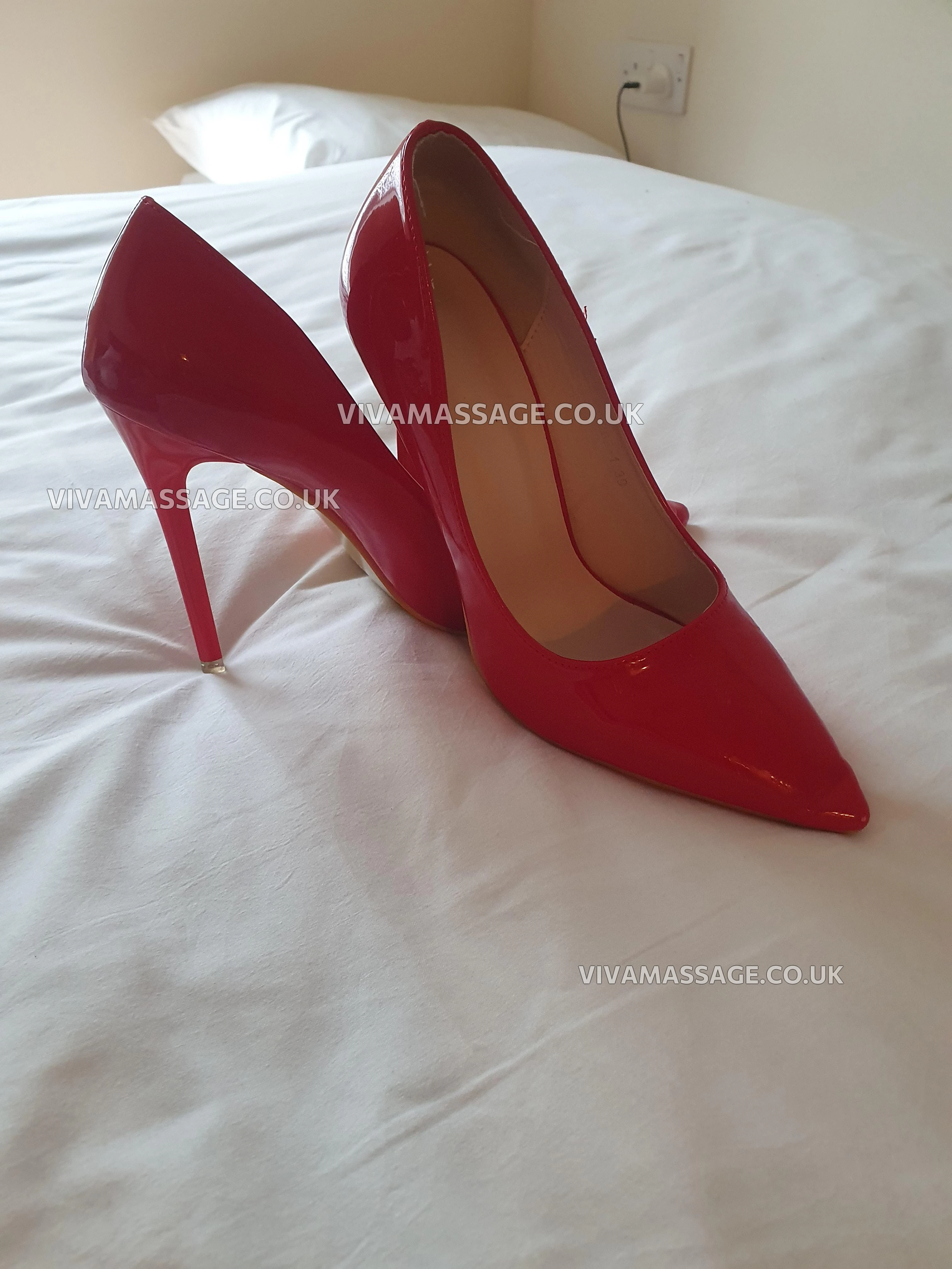 Photo 1 of LoryLorenax