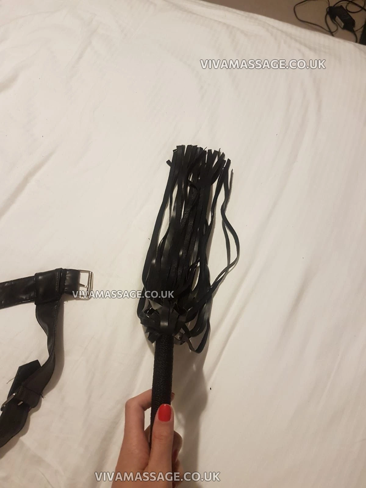 Photo 14 of LoryLorenax