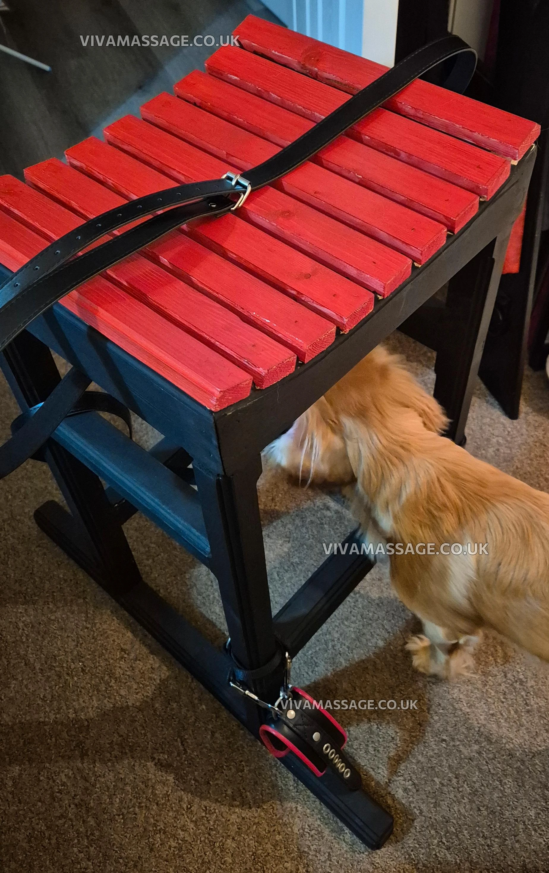 Photo 9 of Countess Talisyn 