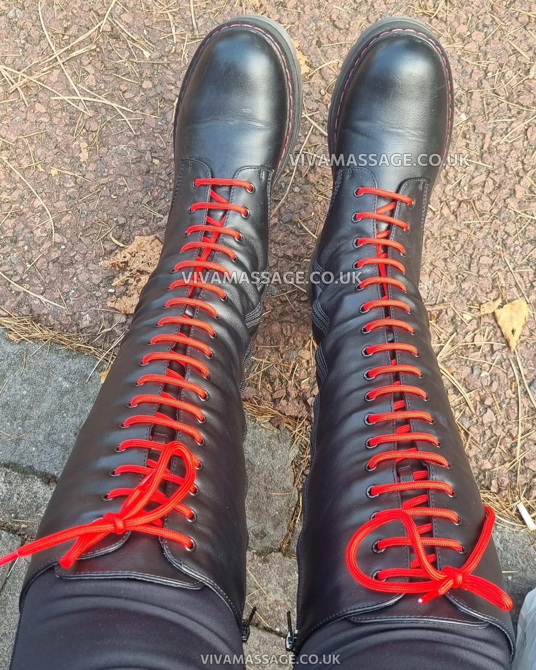 Photo 17 of Countess Talisyn 