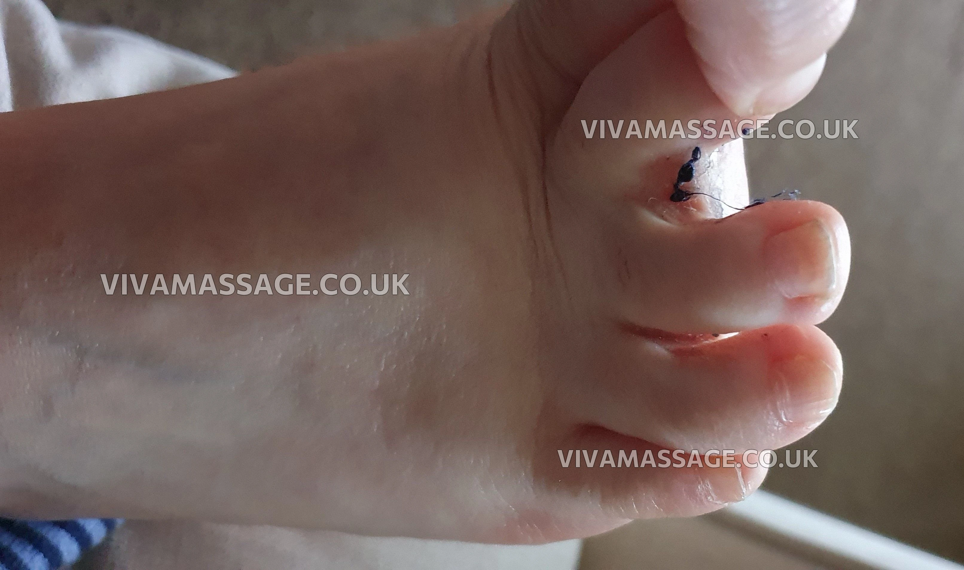 Photo 20 of Countess Talisyn 