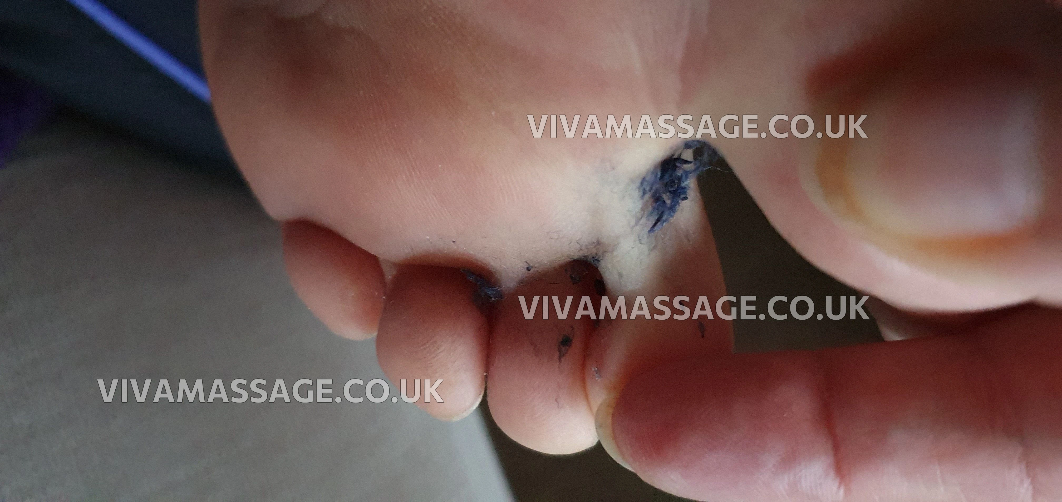 Photo 33 of Countess Talisyn 