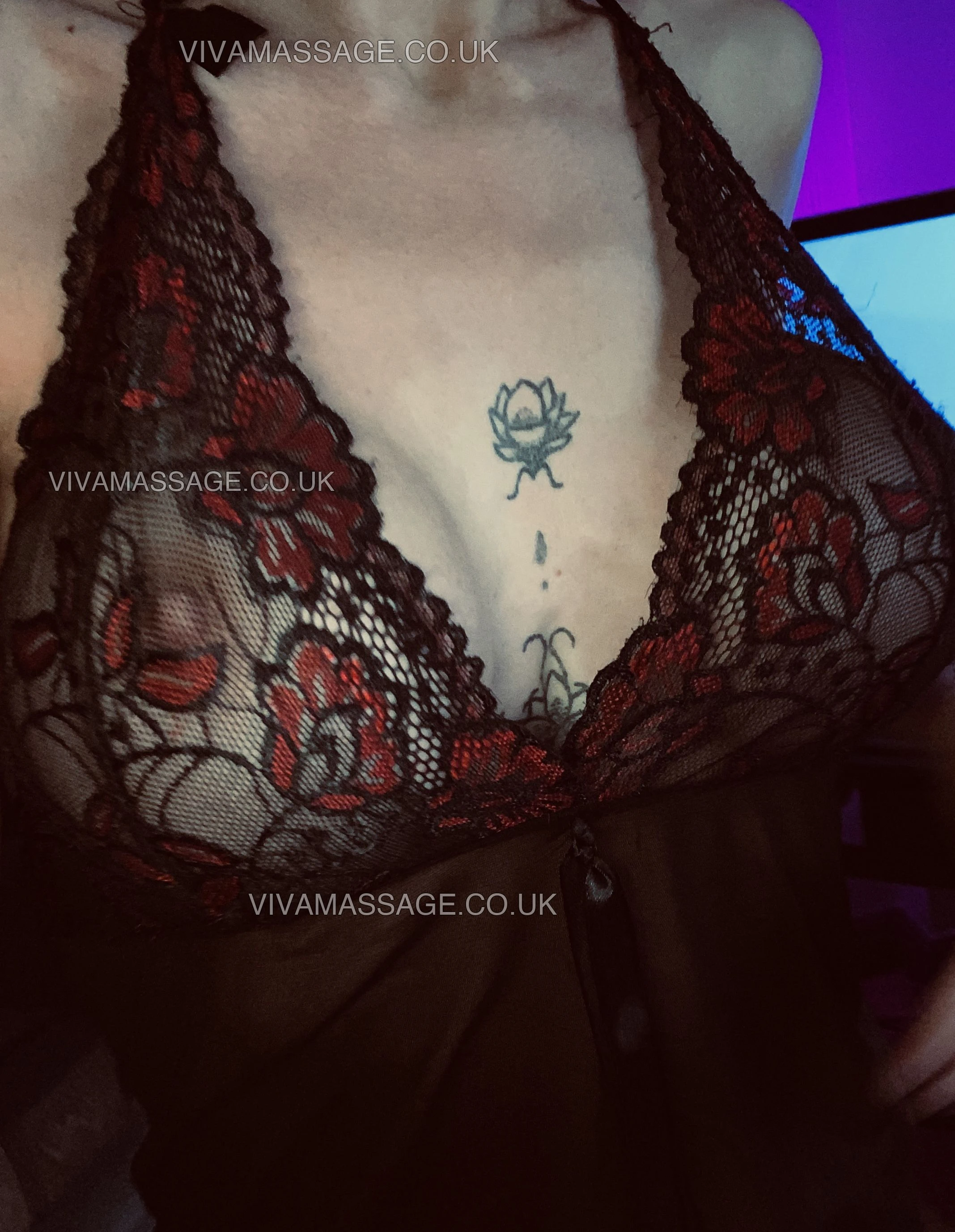 Photo 3 of Lexiharper