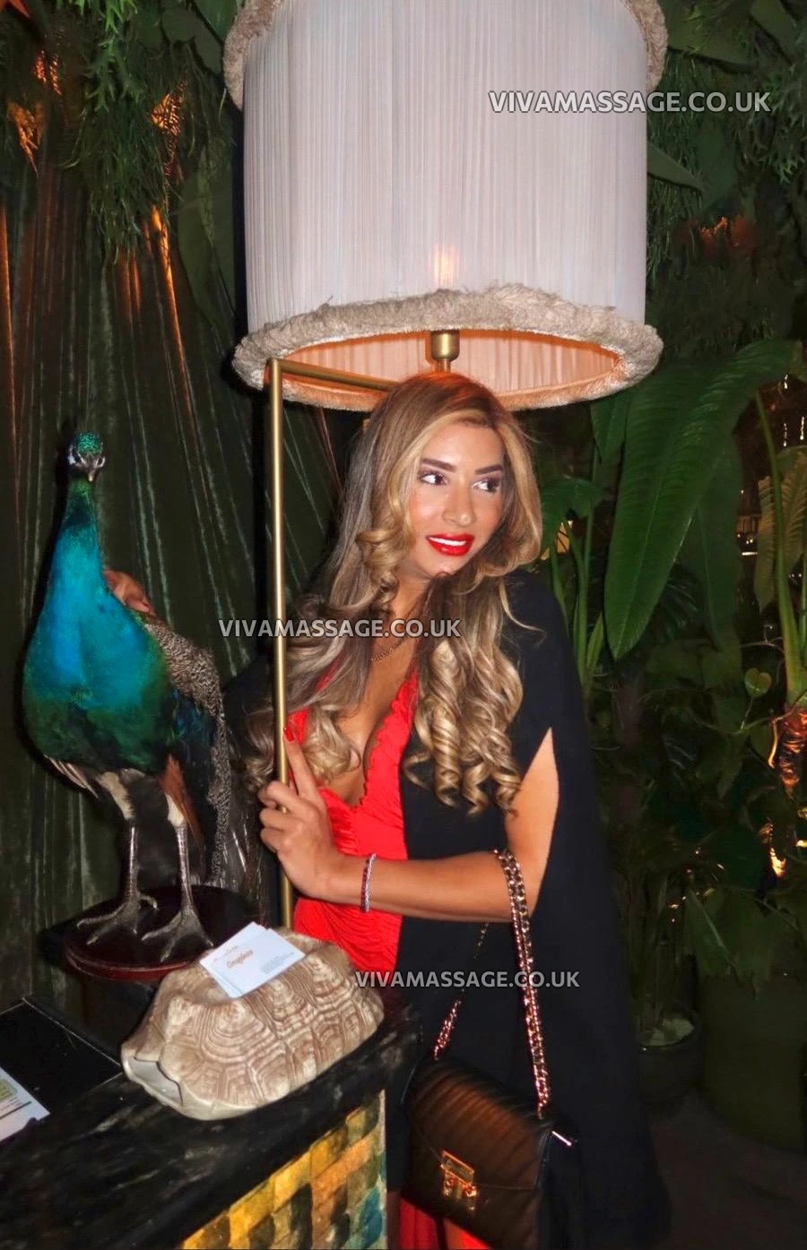 Photo 22 of BellaTopBrasil