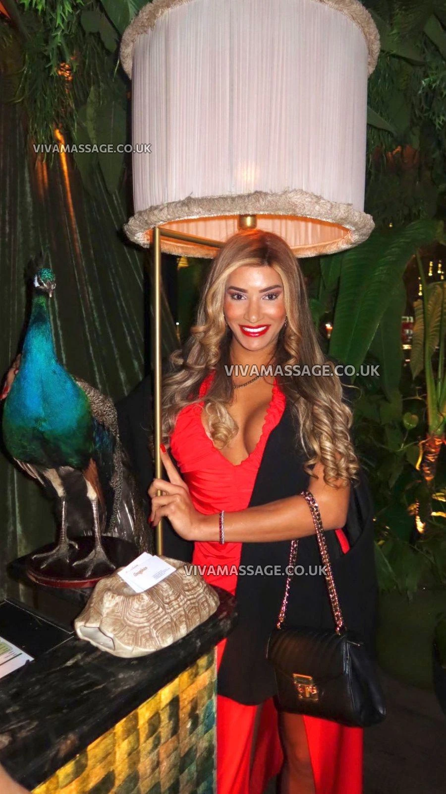 Photo 2 of BellaTopBrasil