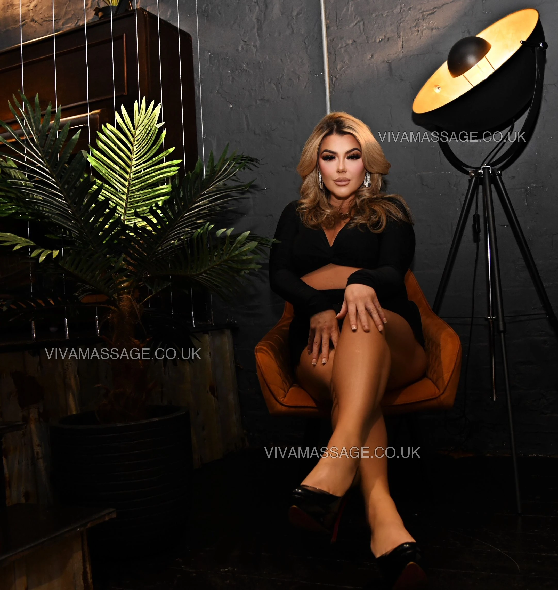 Photo 64 of Spicy seline 