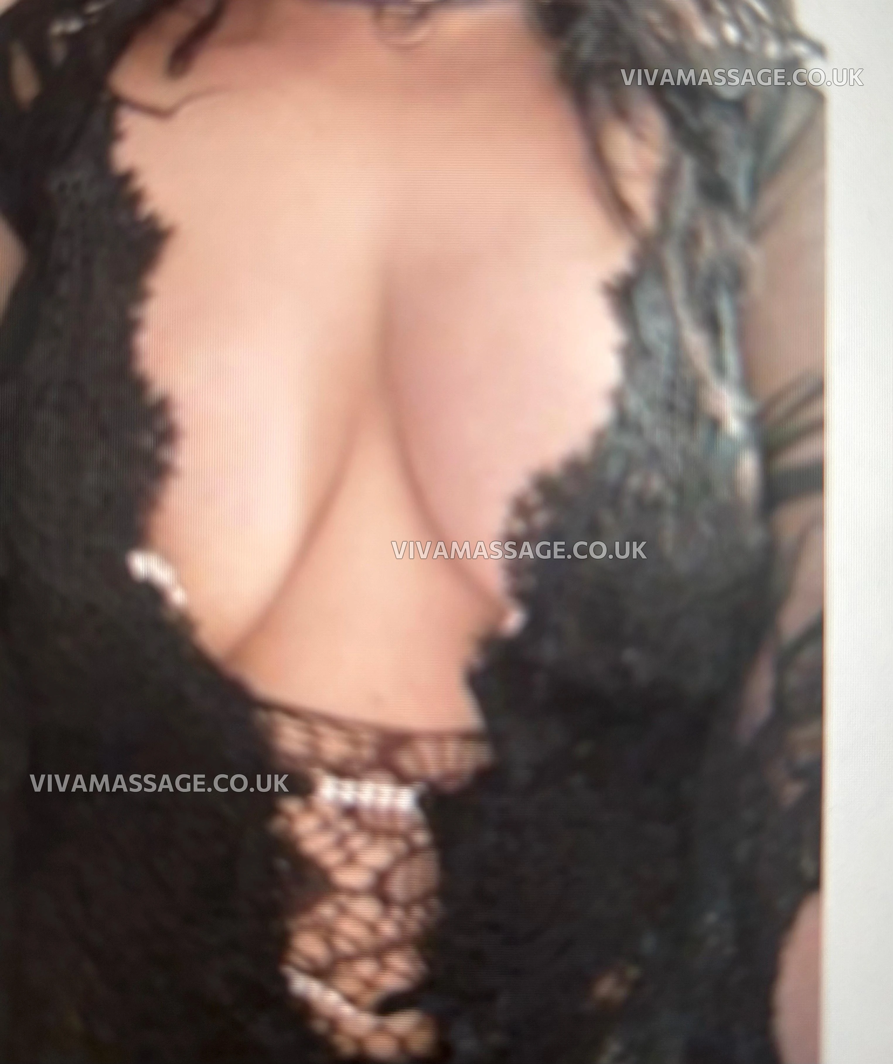 Photo 12 of Alexi English Rose